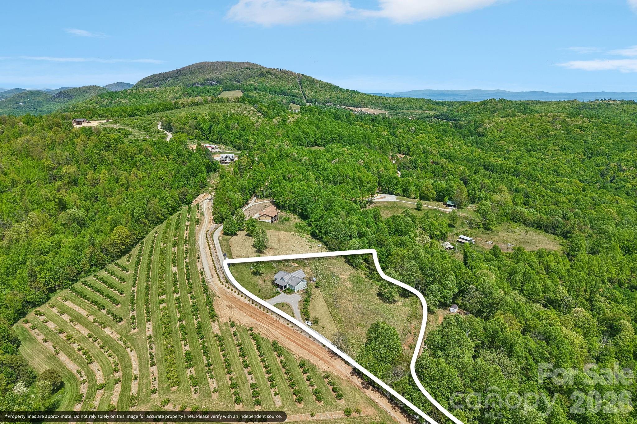 main property photo 26