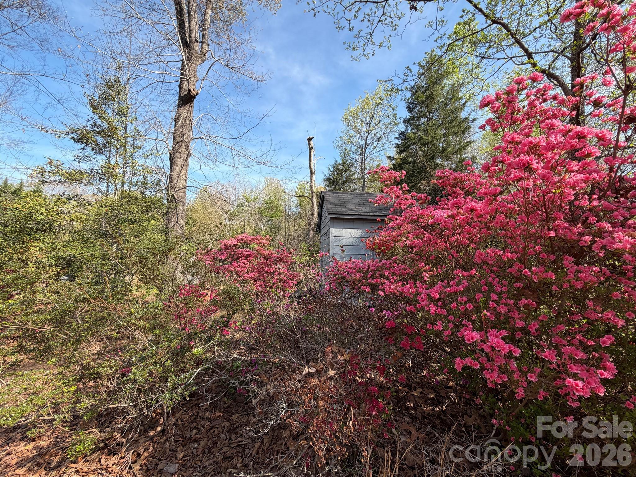 main property photo 32
