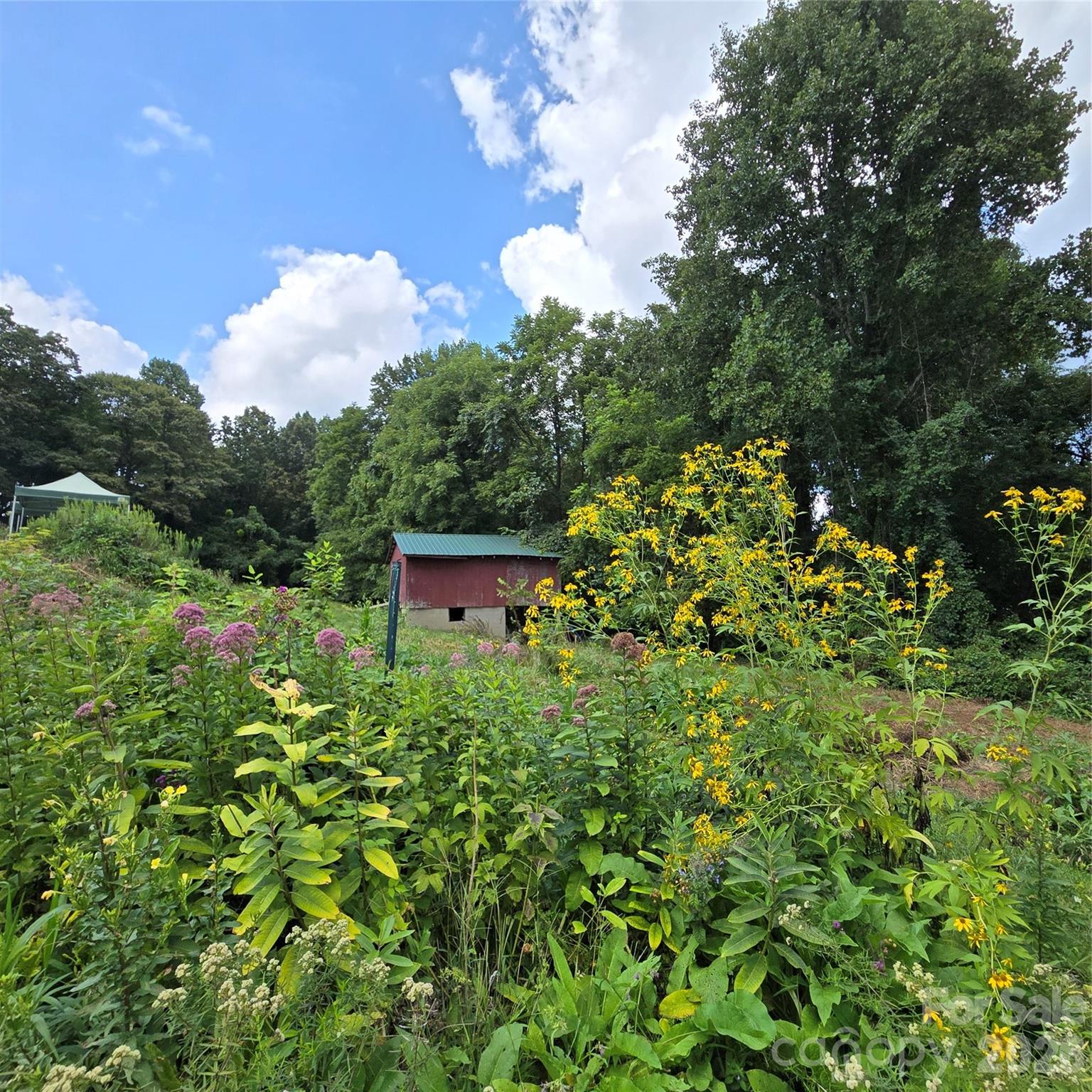 main property photo 41