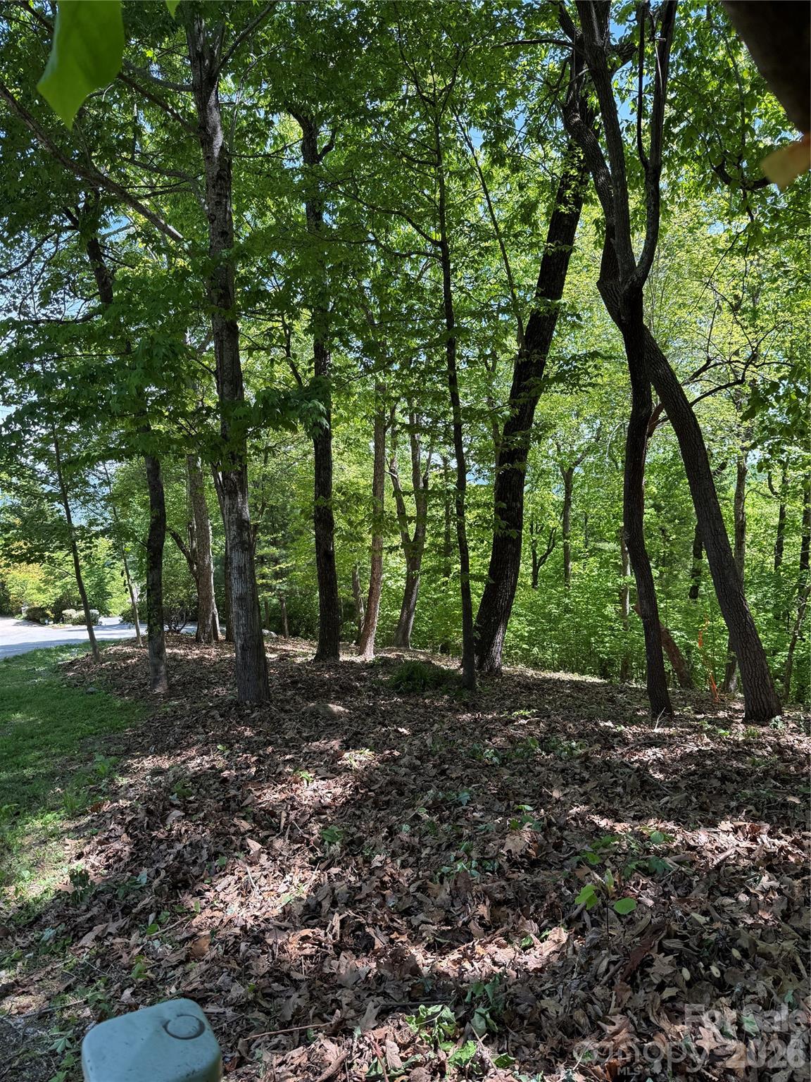 main property photo 11