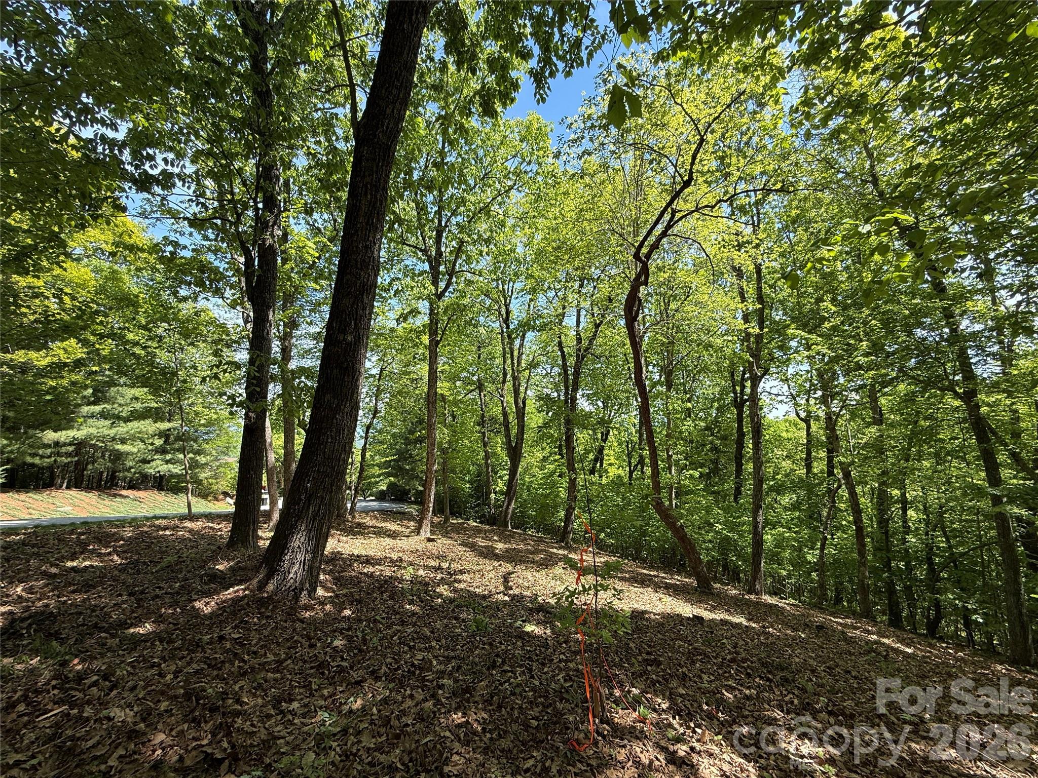 main property photo 19