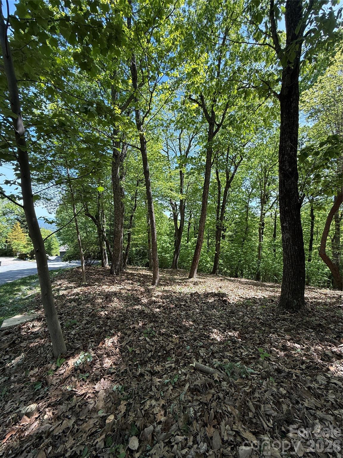 main property photo 25