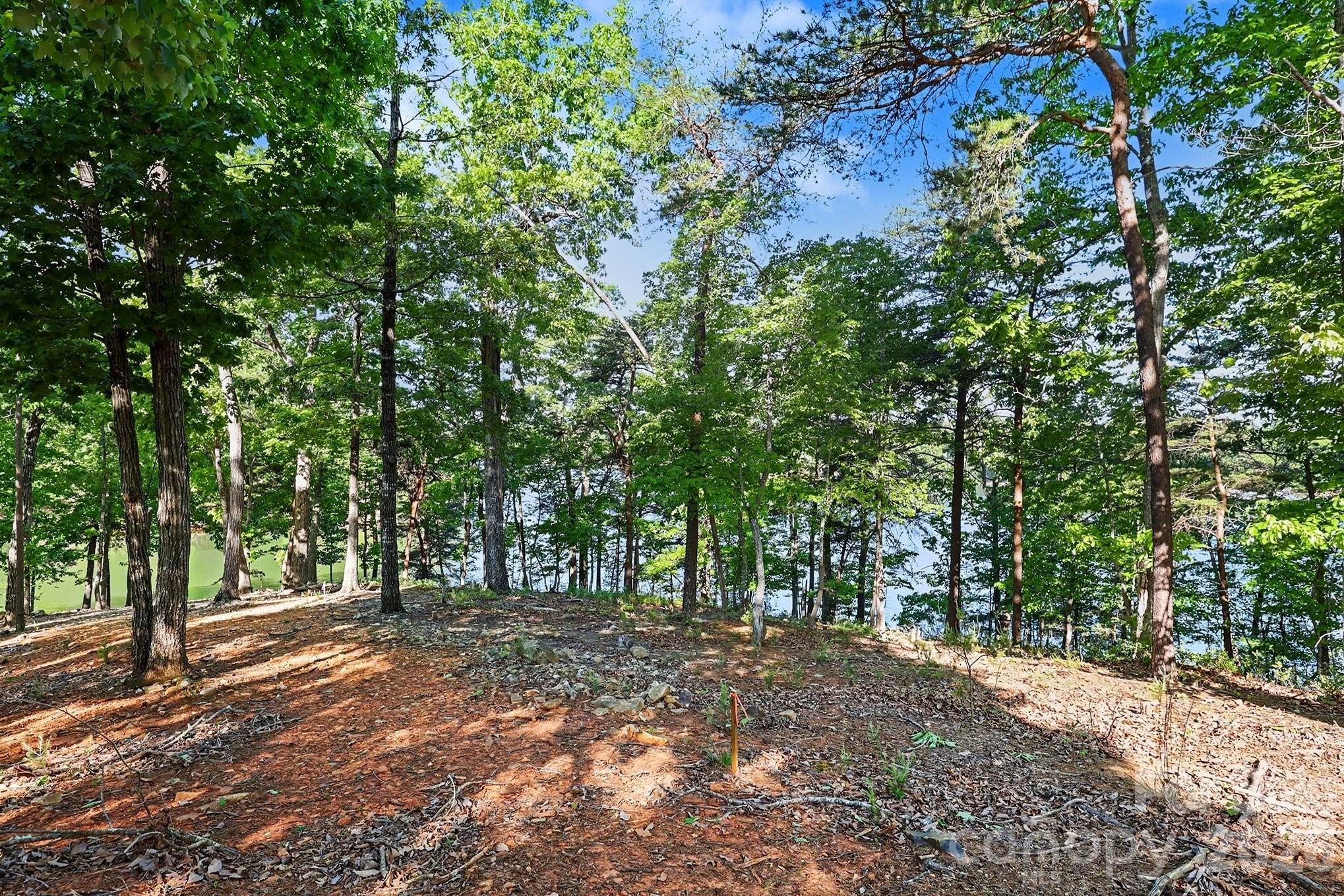 main property photo 37