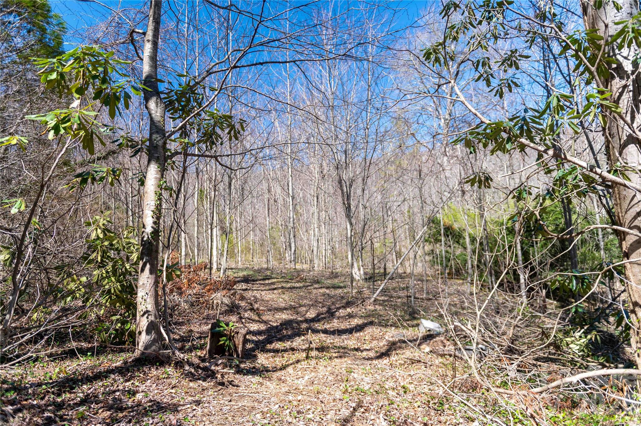main property photo 21