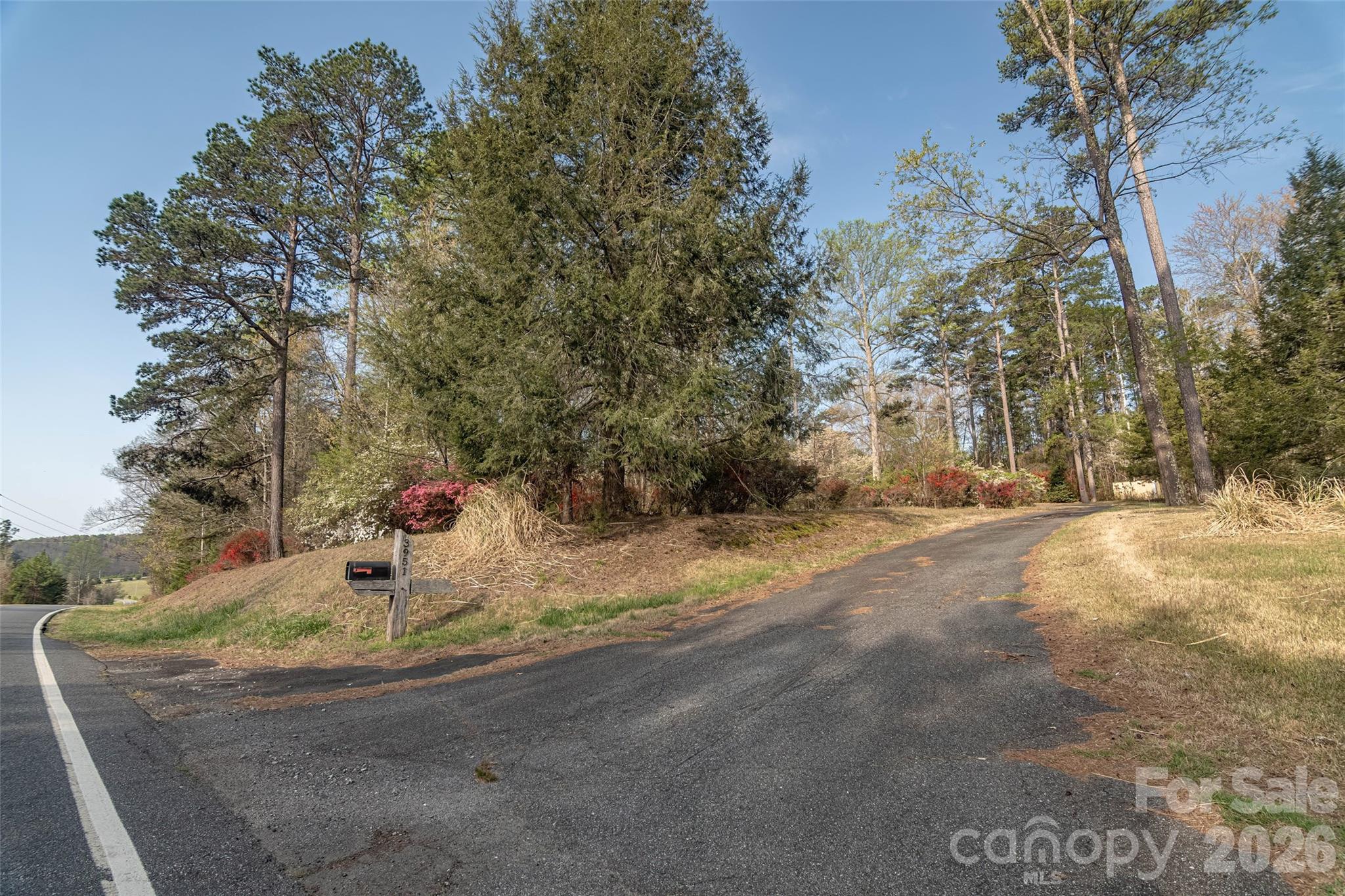 main property photo 44