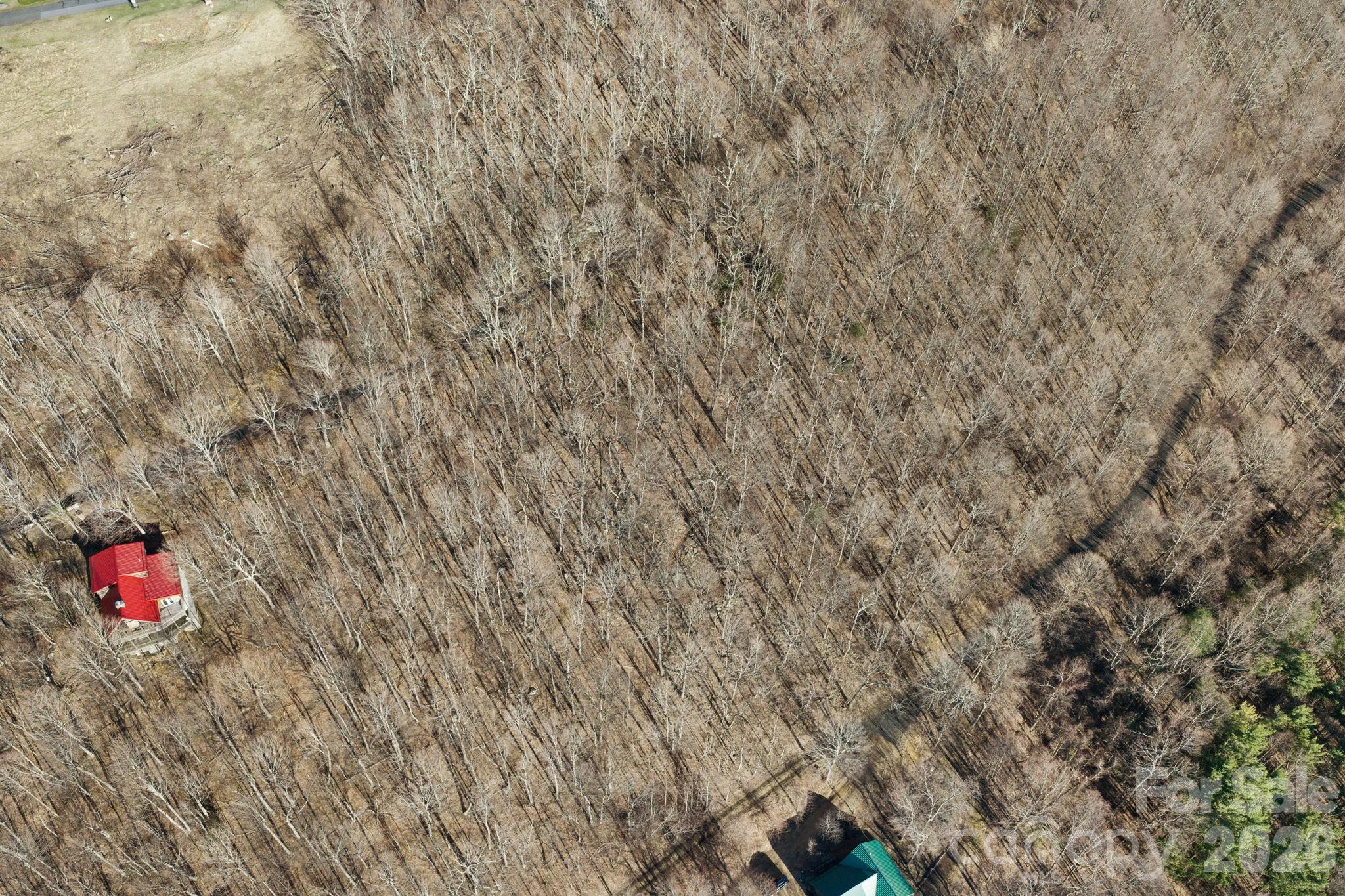 main property photo 18