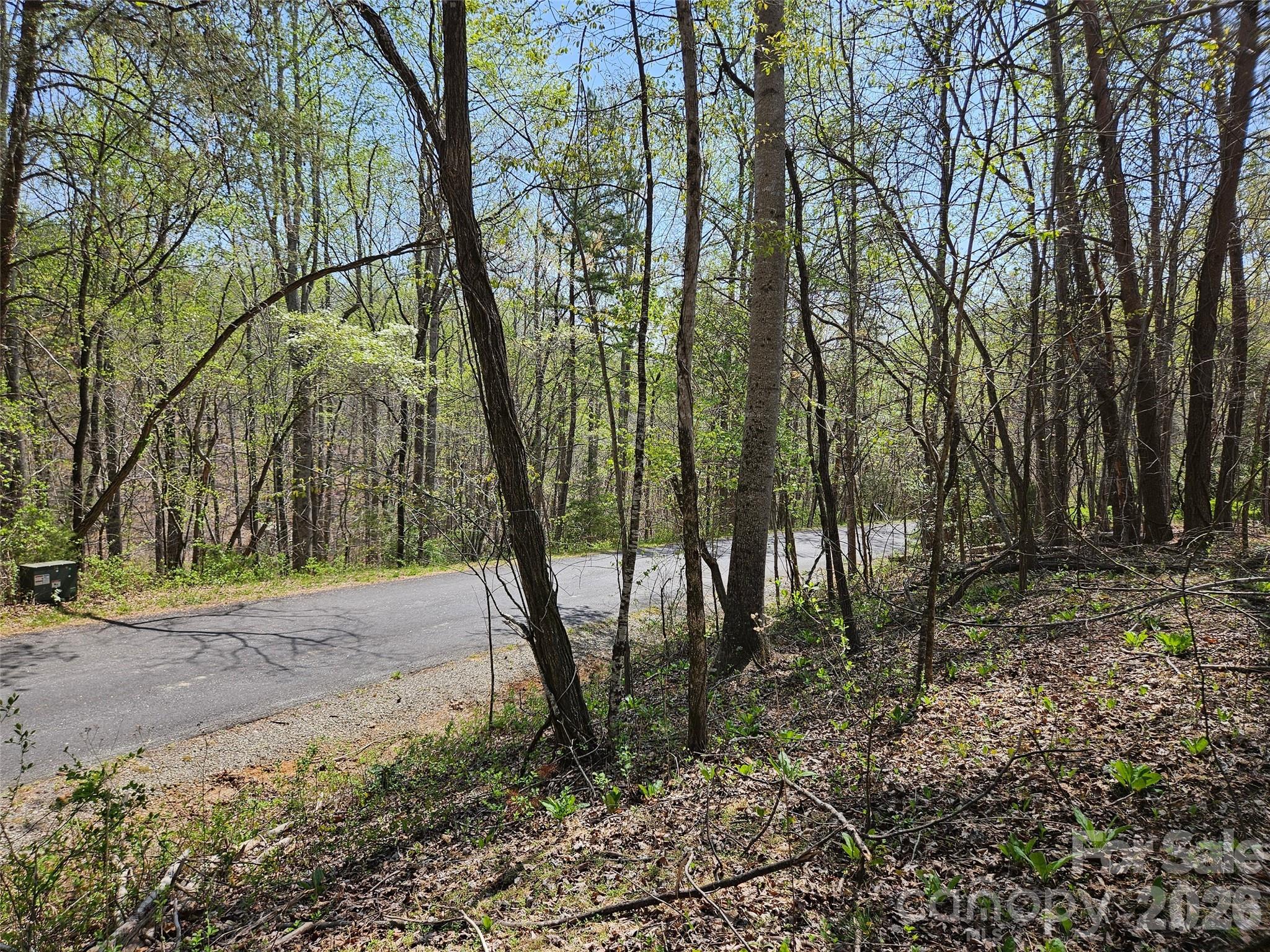 main property photo 8