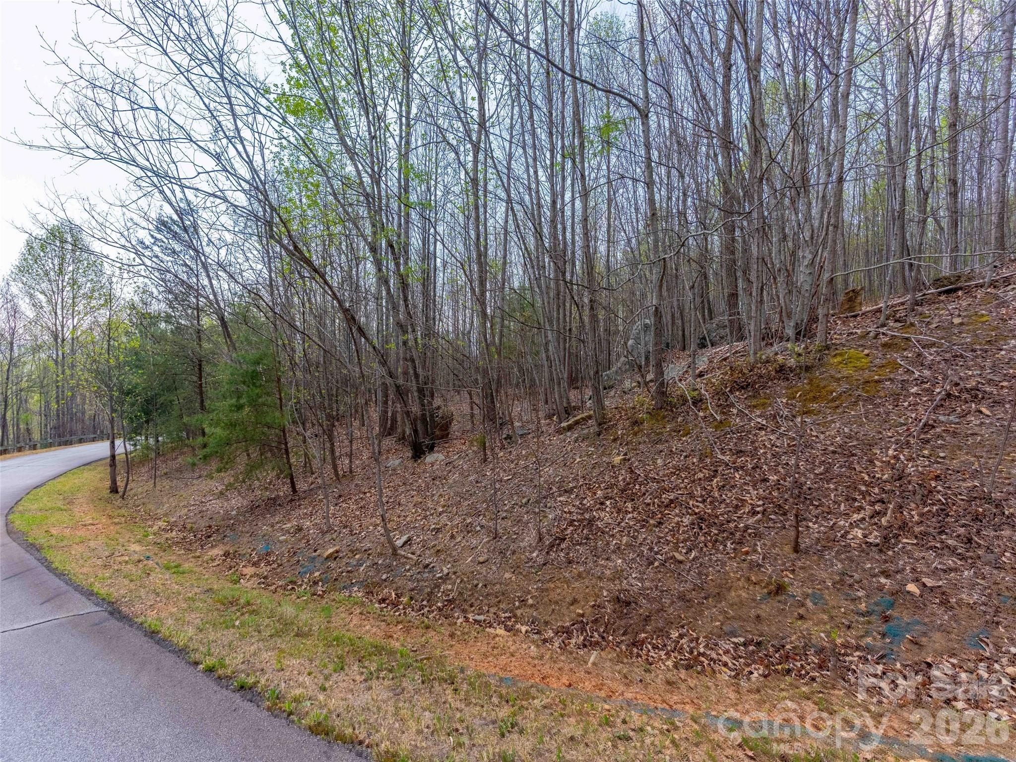 main property photo 9