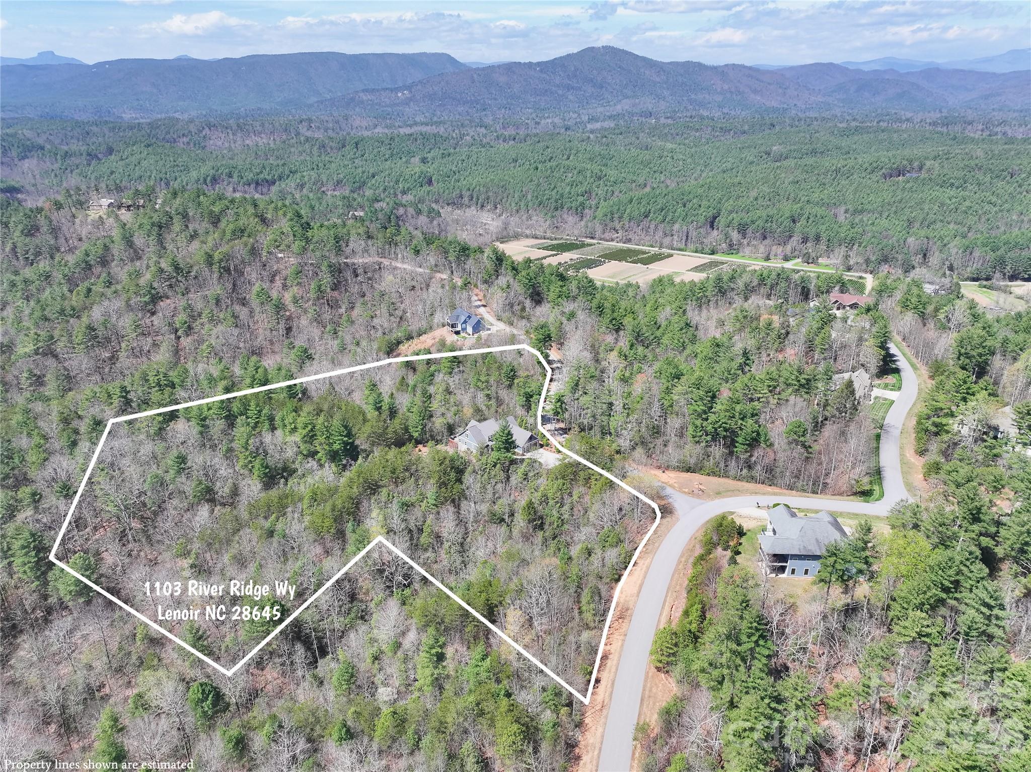 main property photo 44