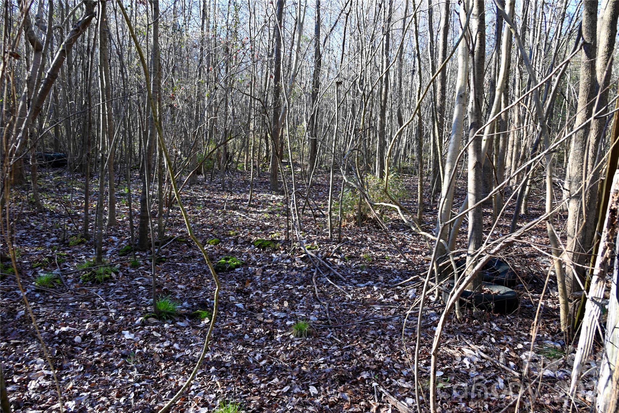 main property photo 11