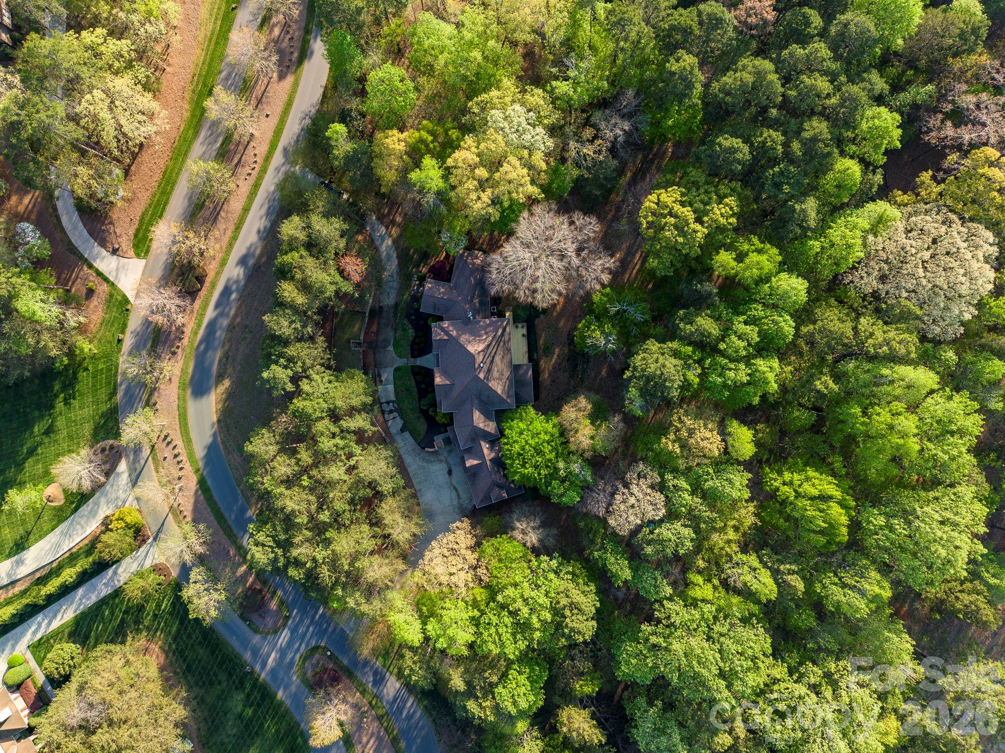 main property photo 42
