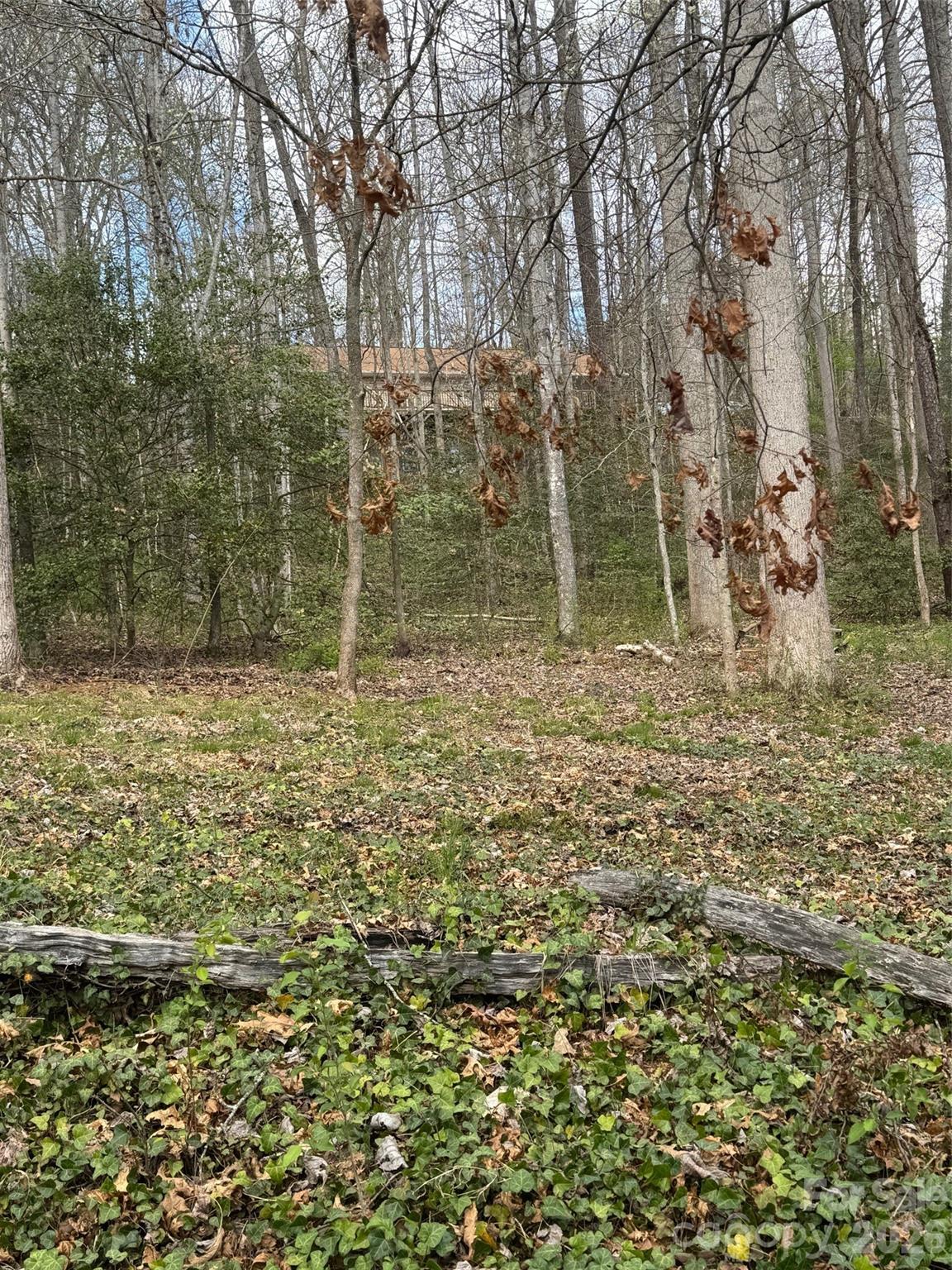main property photo 26