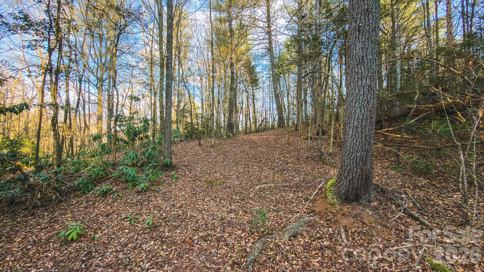 main property photo 11
