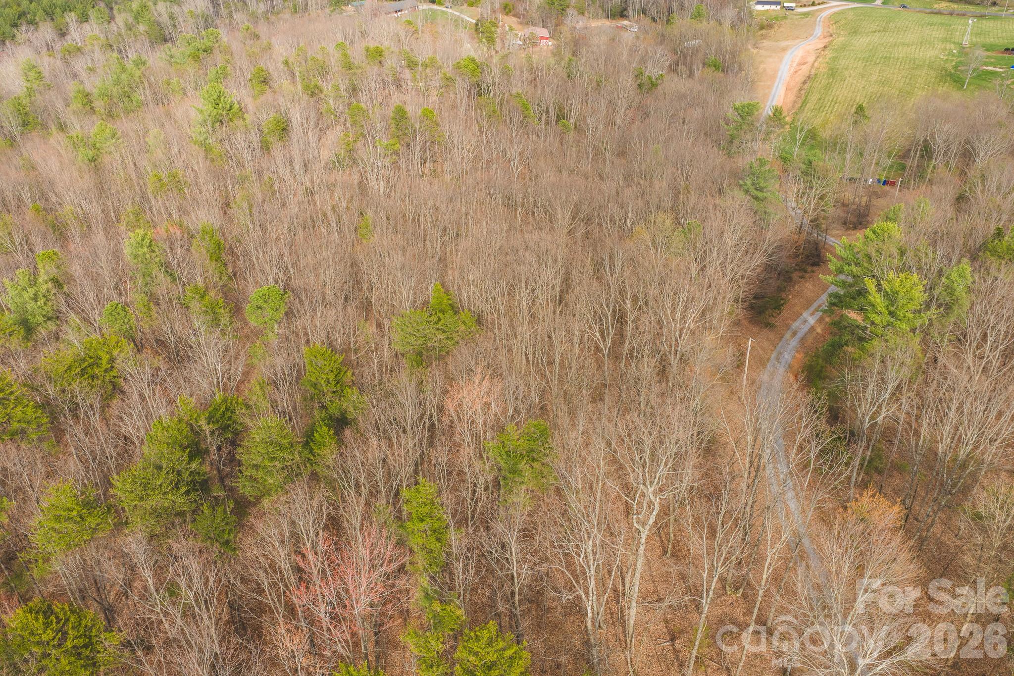 main property photo 4