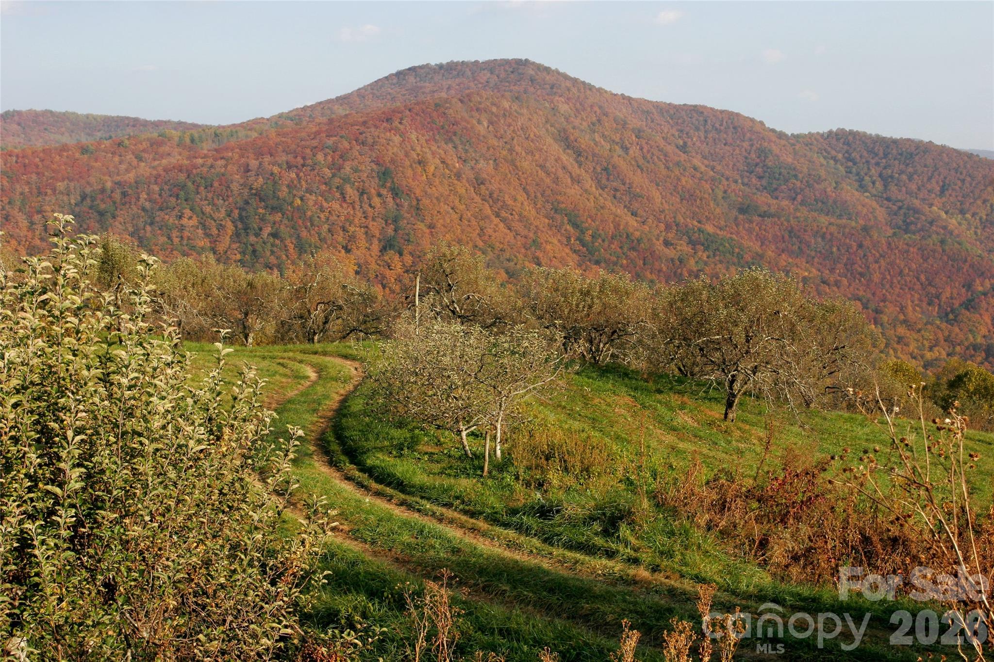 main property photo 24