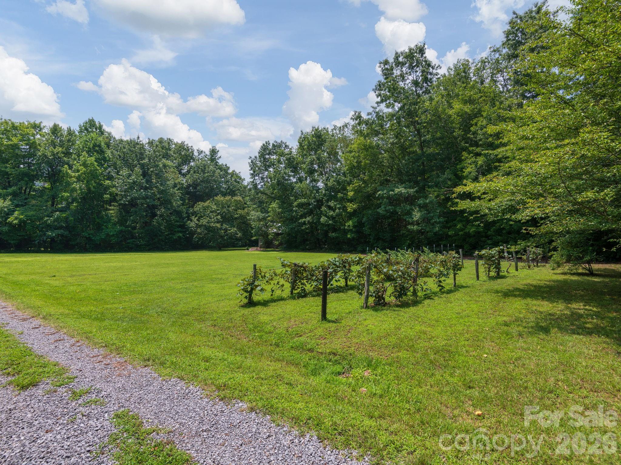 main property photo 44