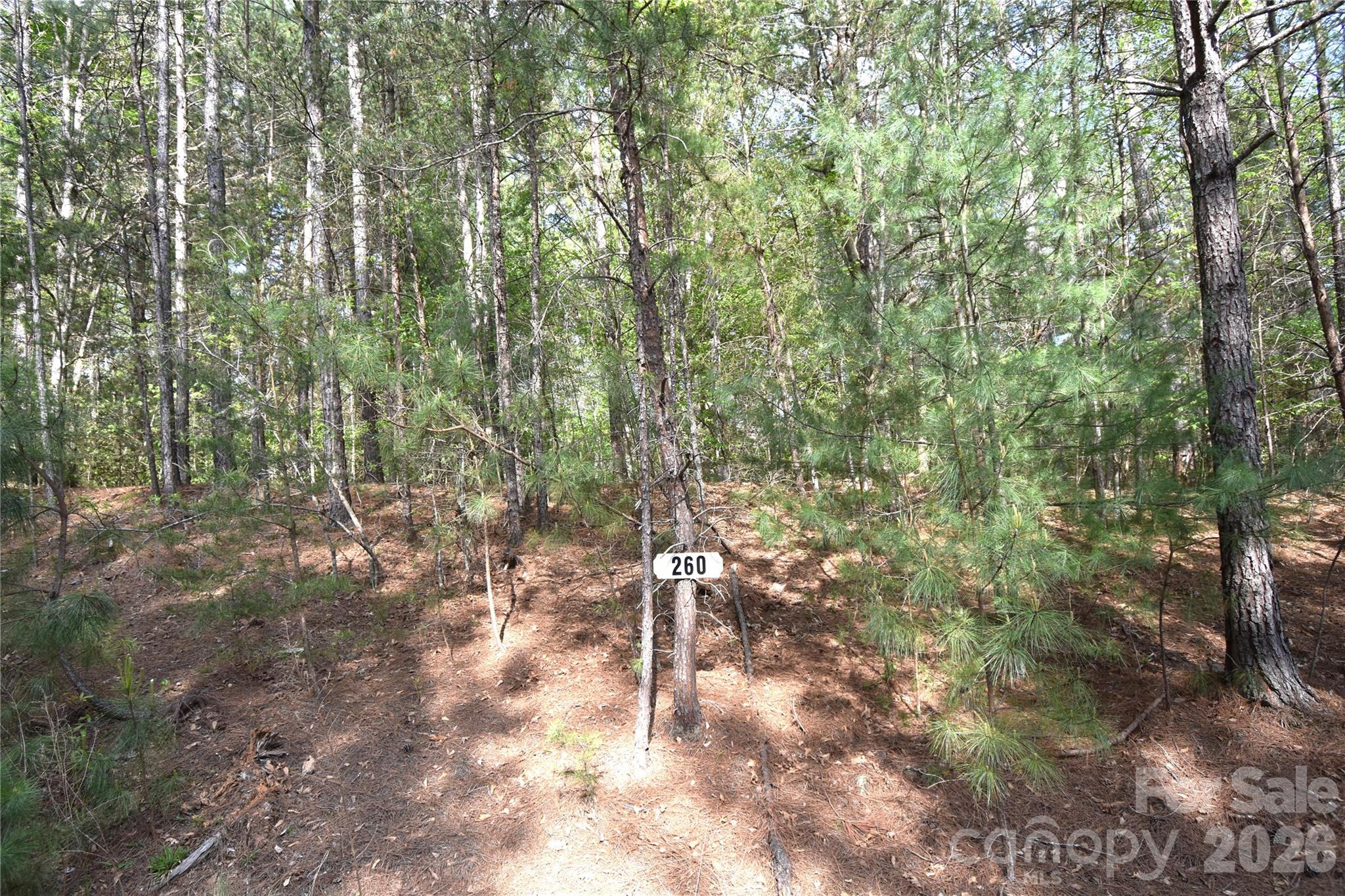 main property photo 25