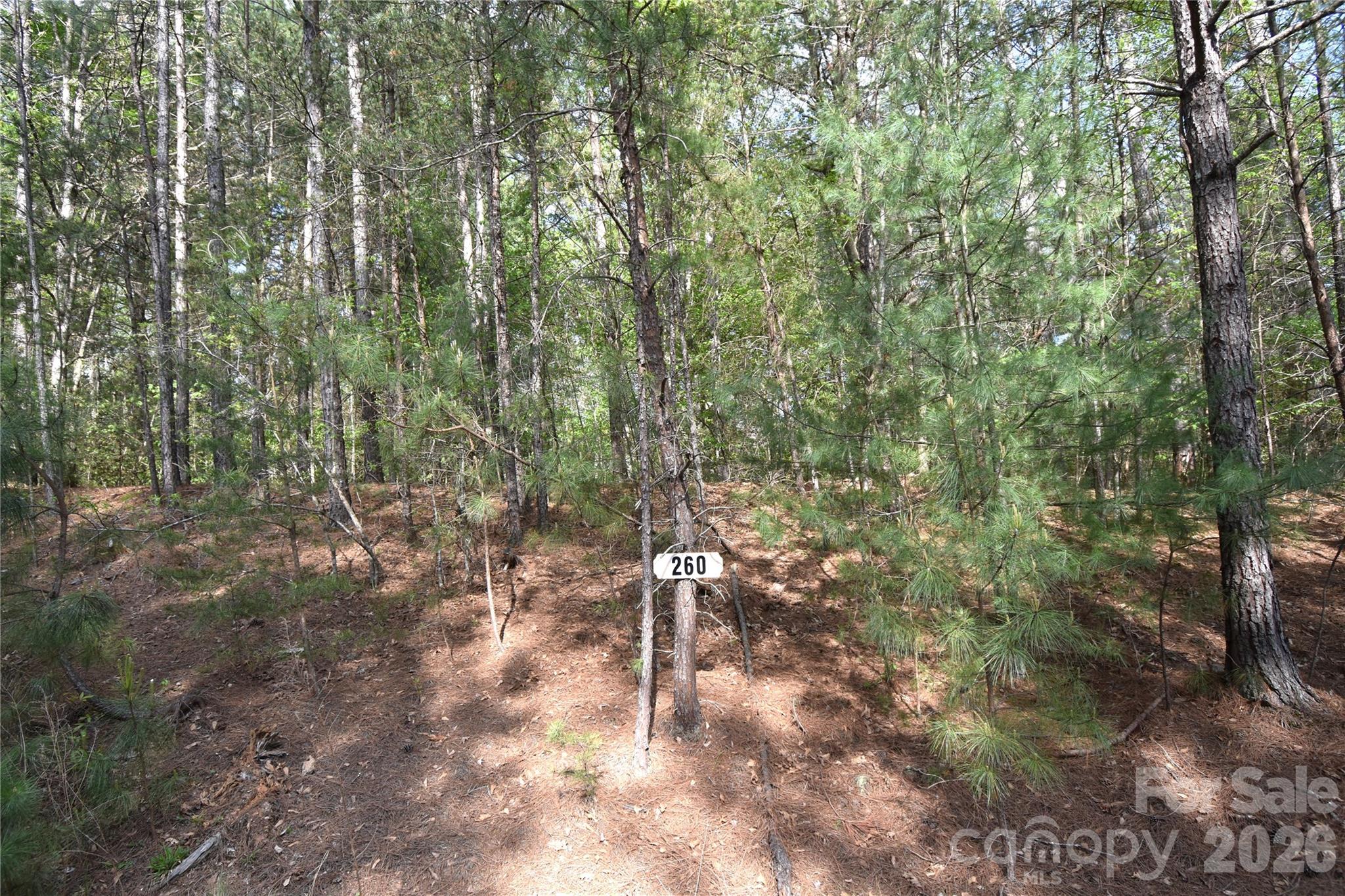 main property photo 32