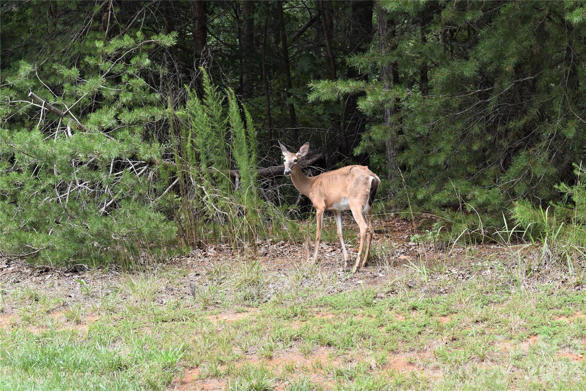 main property photo 19