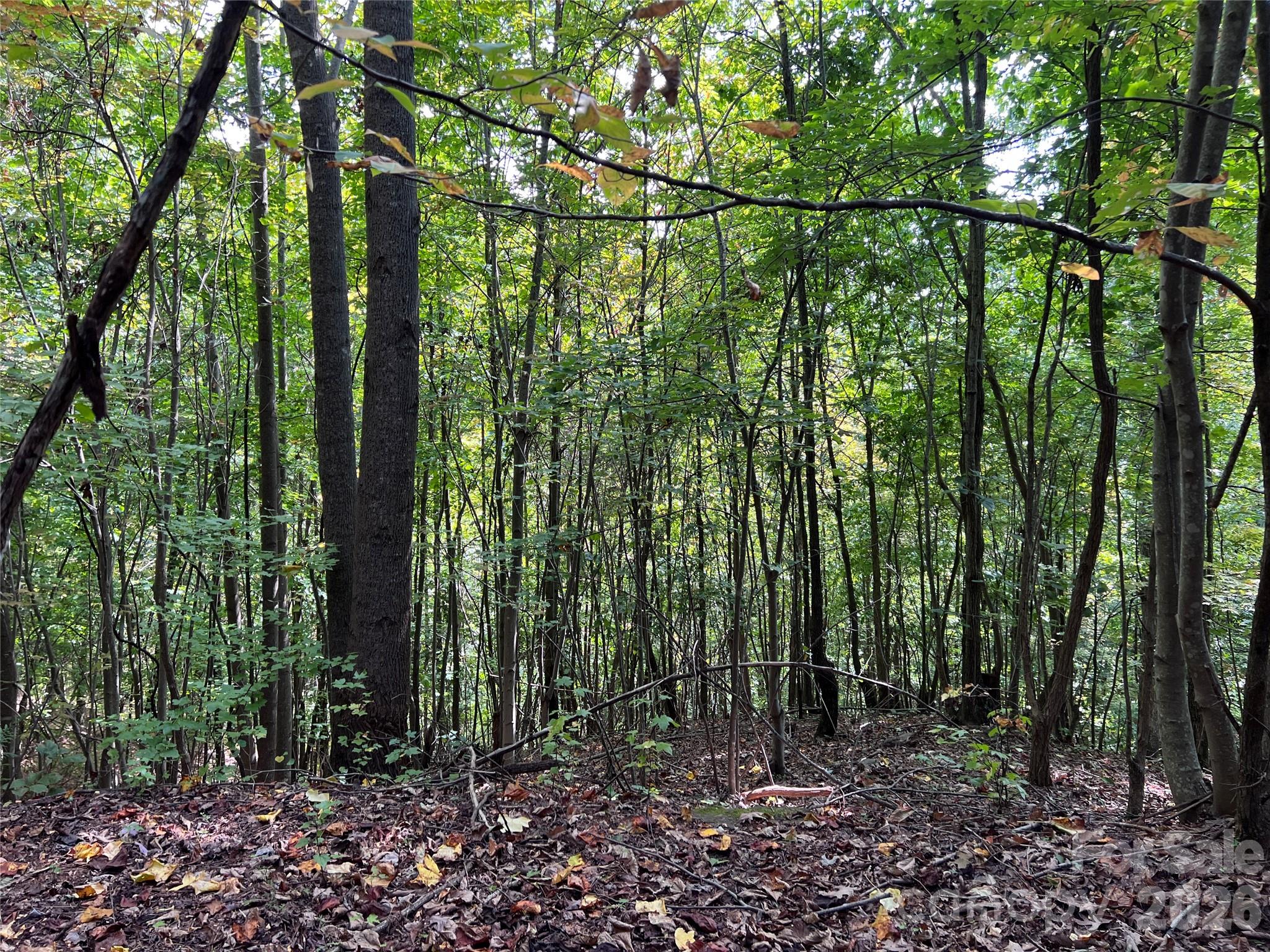 property viewer photo 1