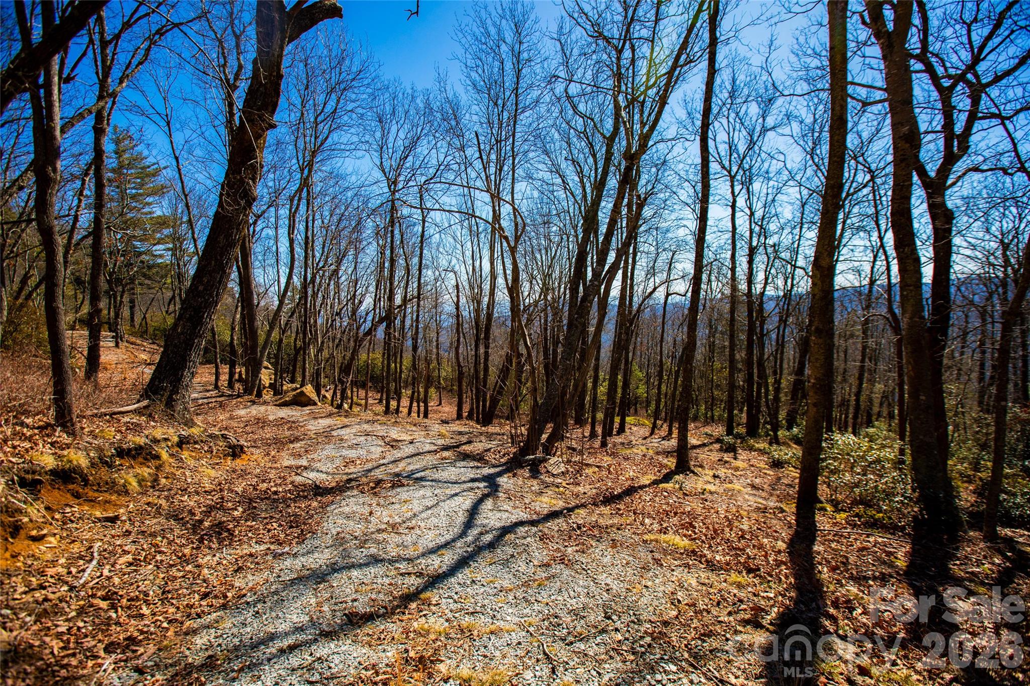 main property photo 11