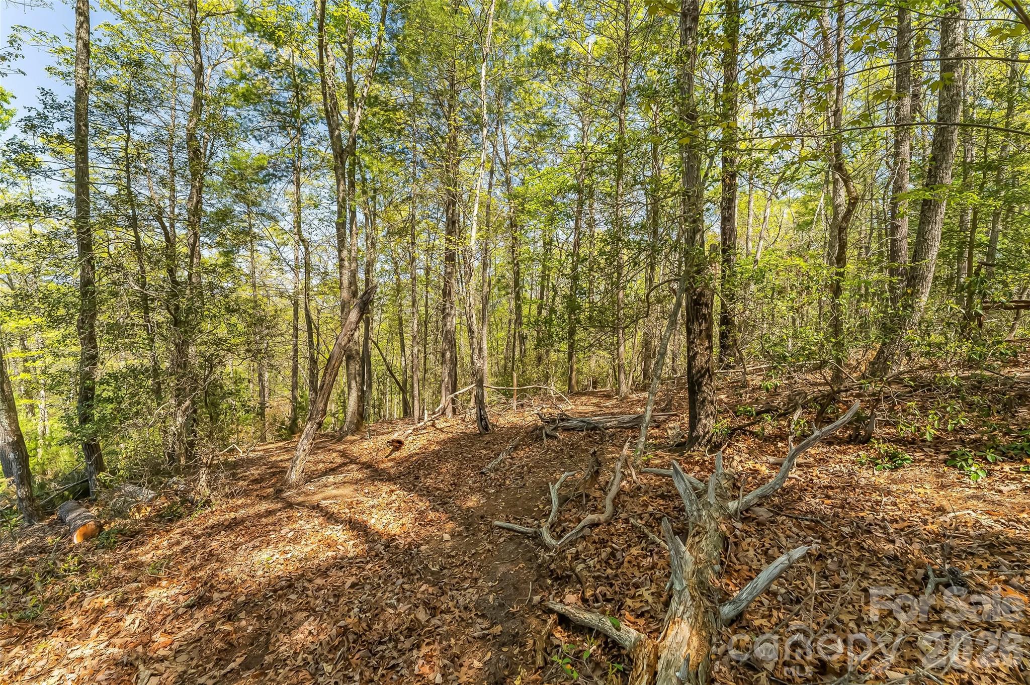 main property photo 11