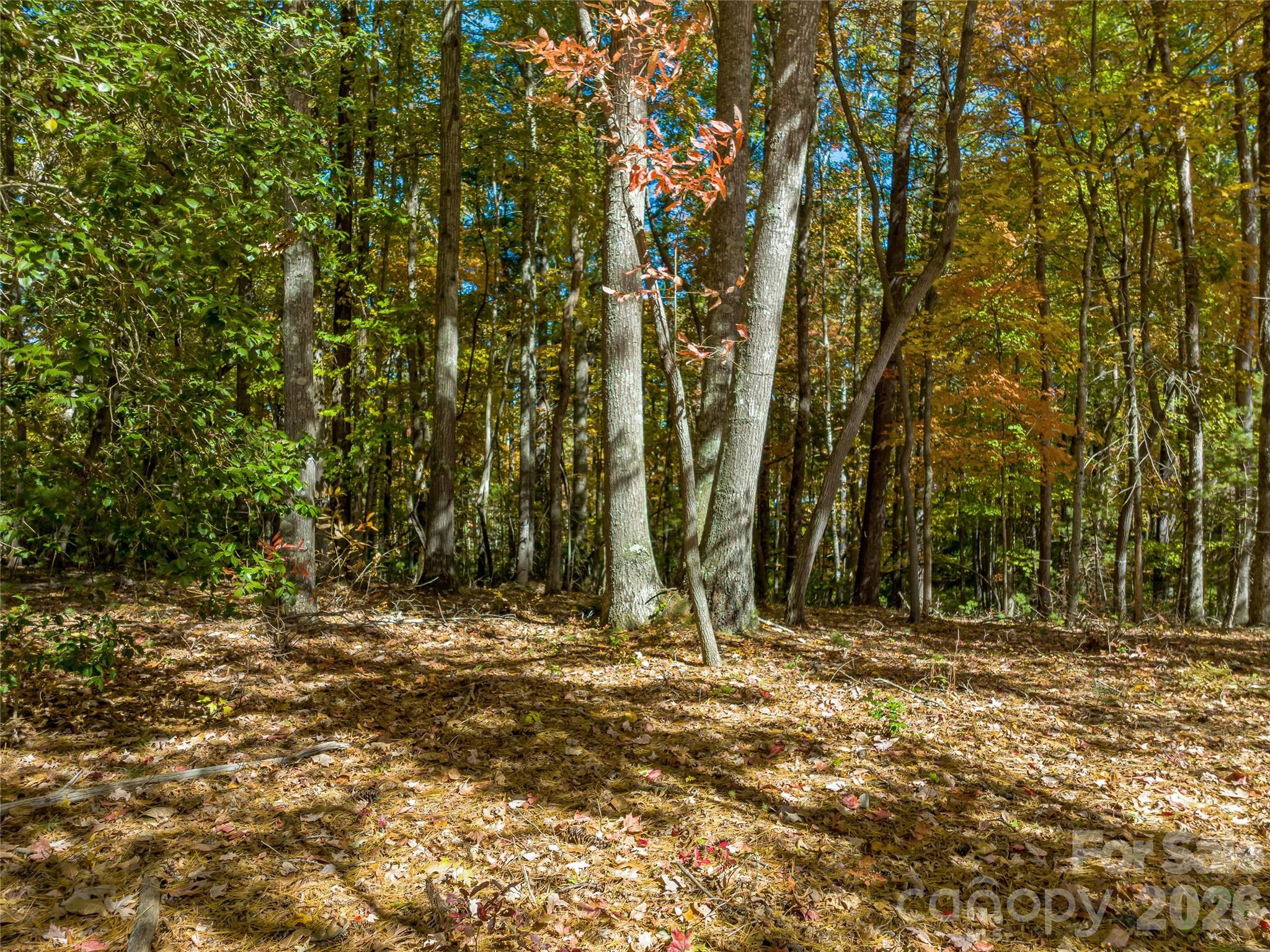 main property photo 11