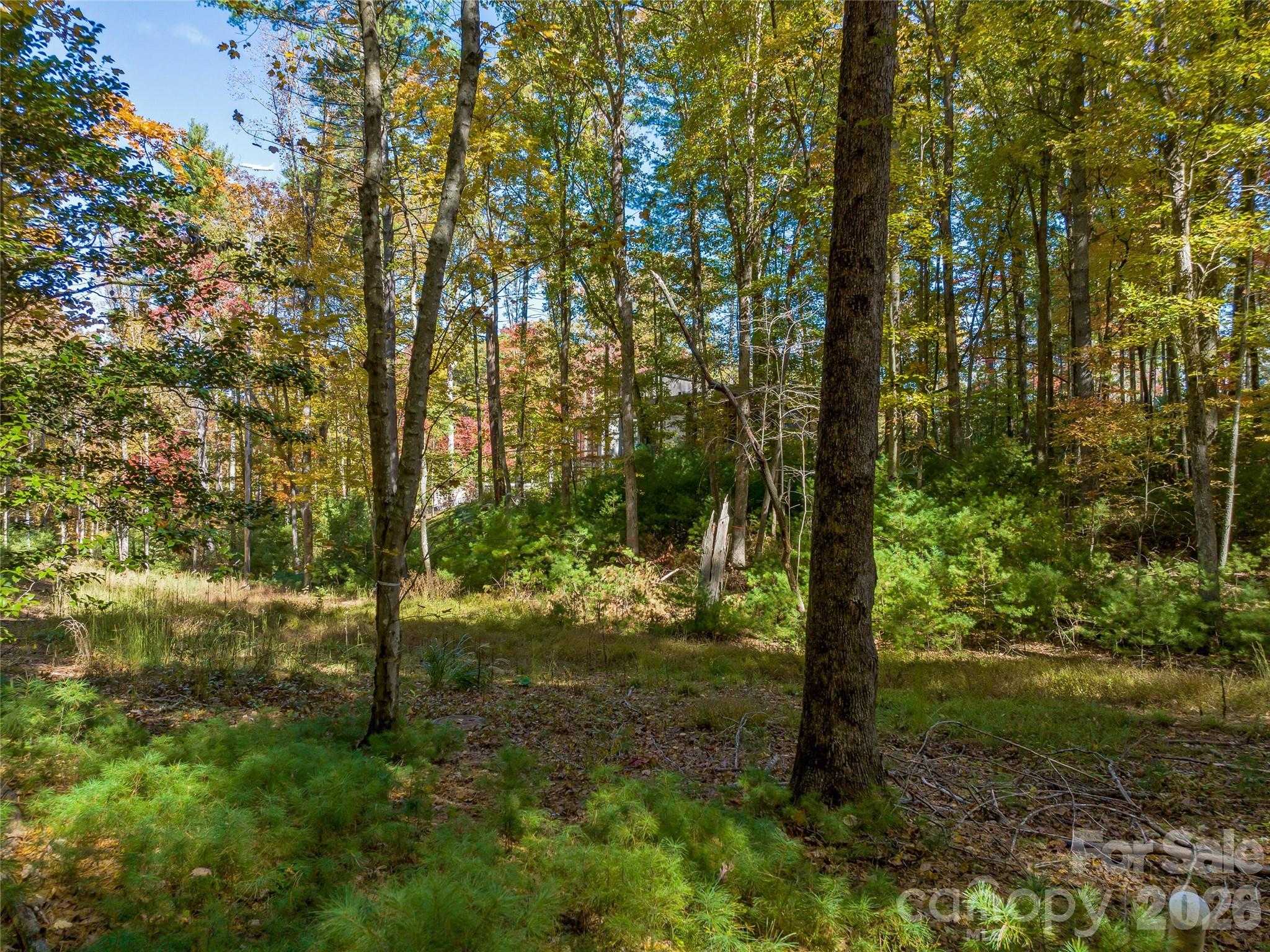 main property photo 8