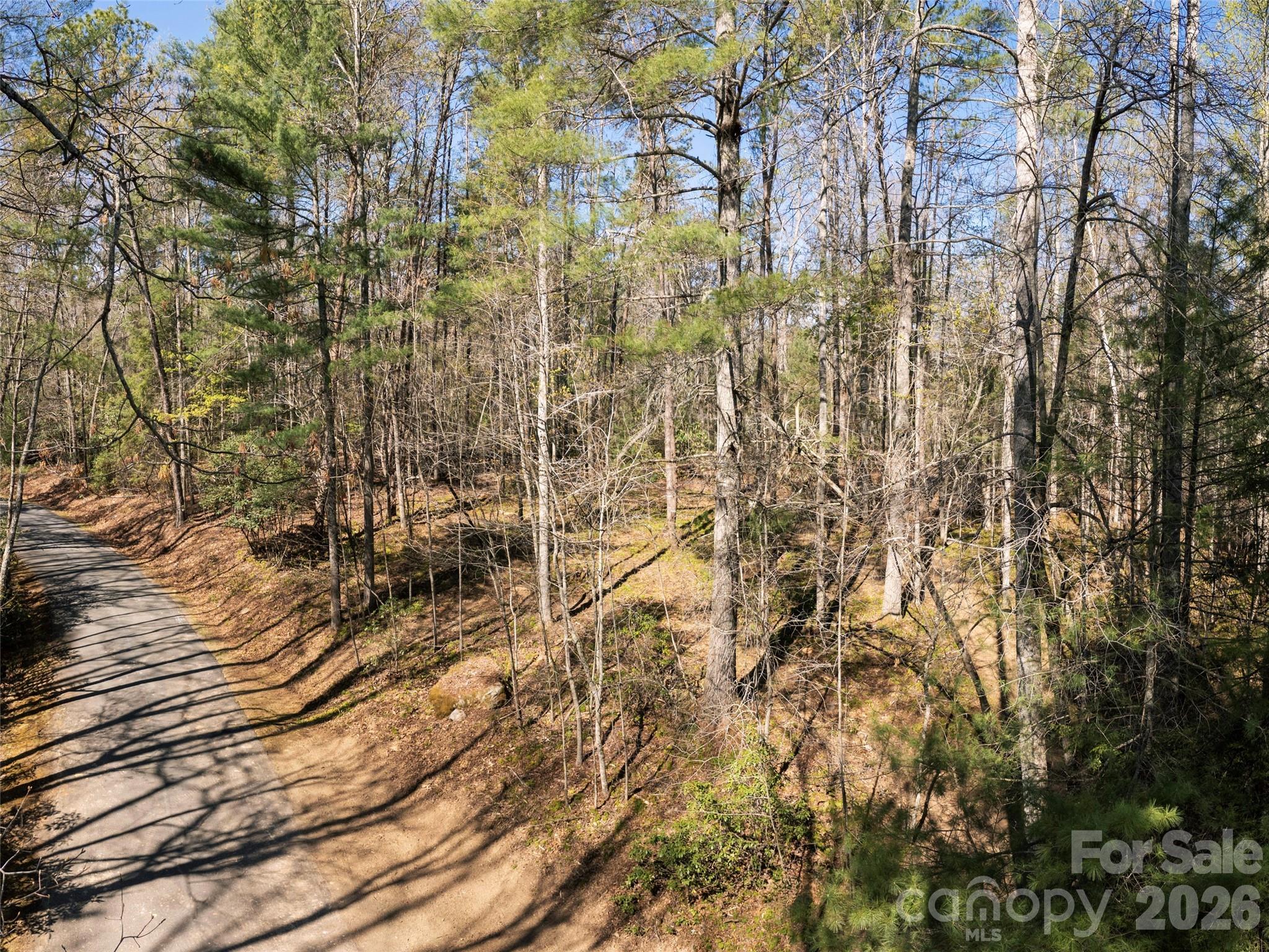 main property photo 11