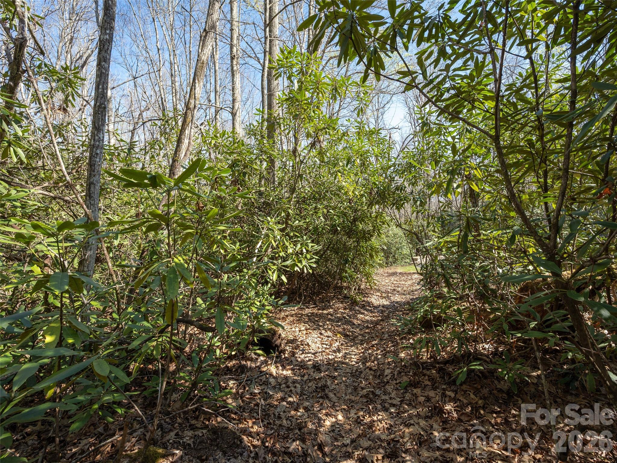 main property photo 18