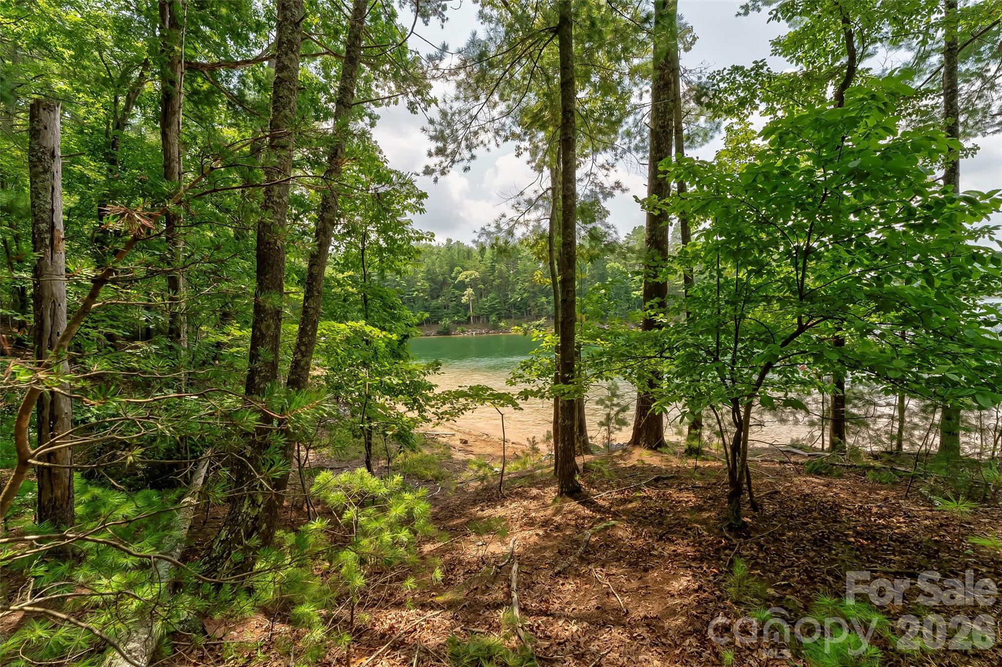 main property photo 17