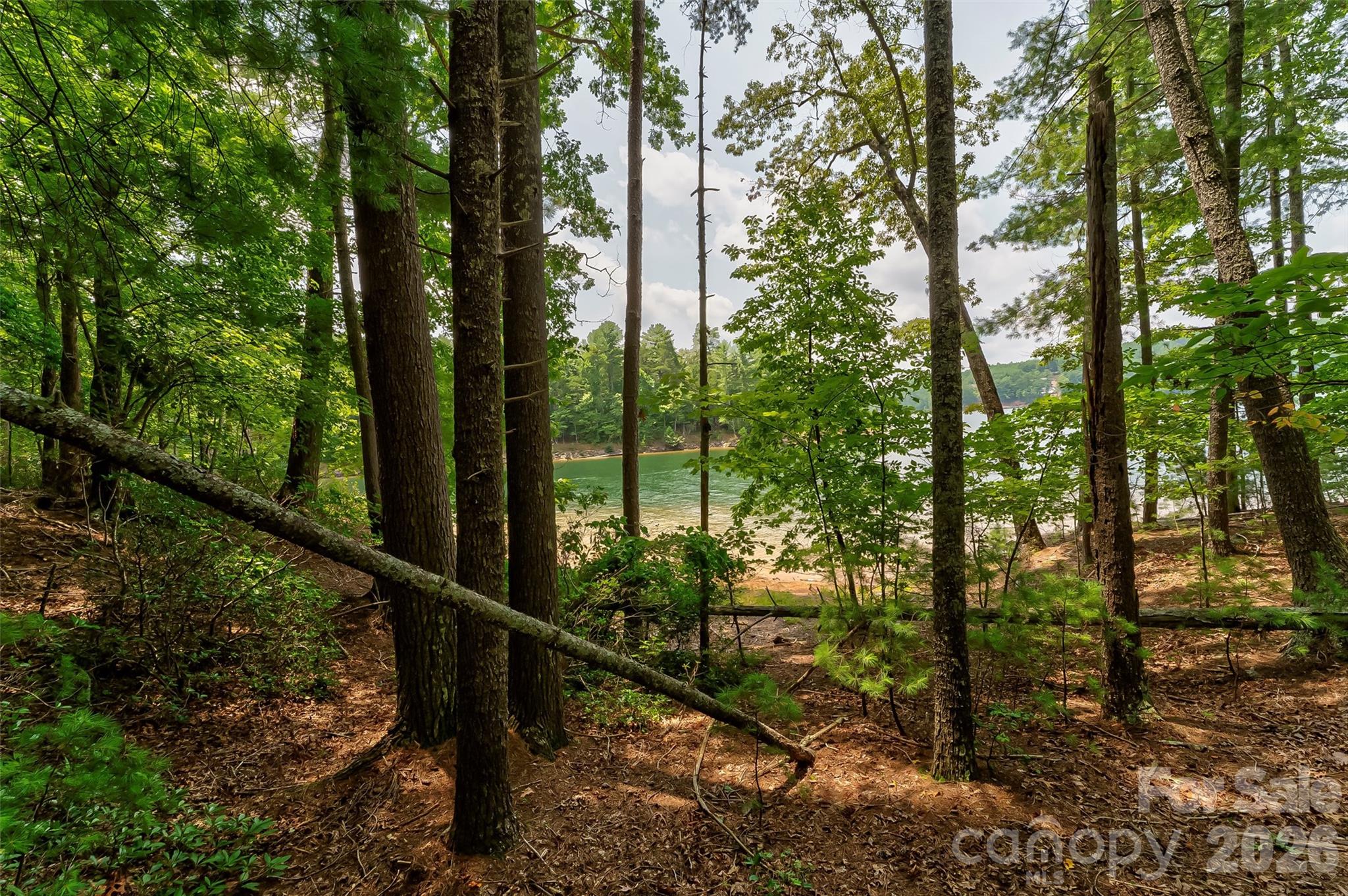 main property photo 18