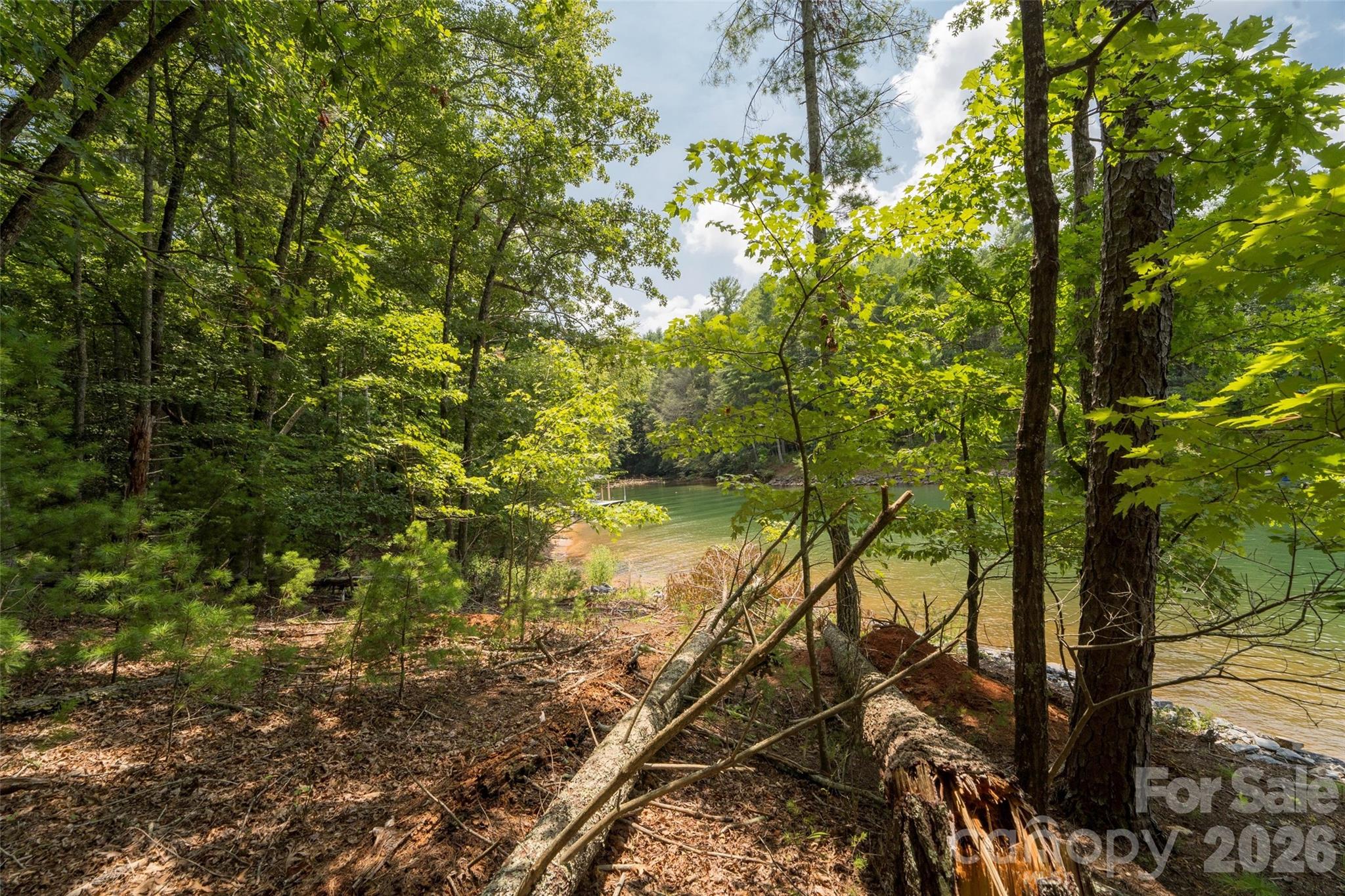 main property photo 31