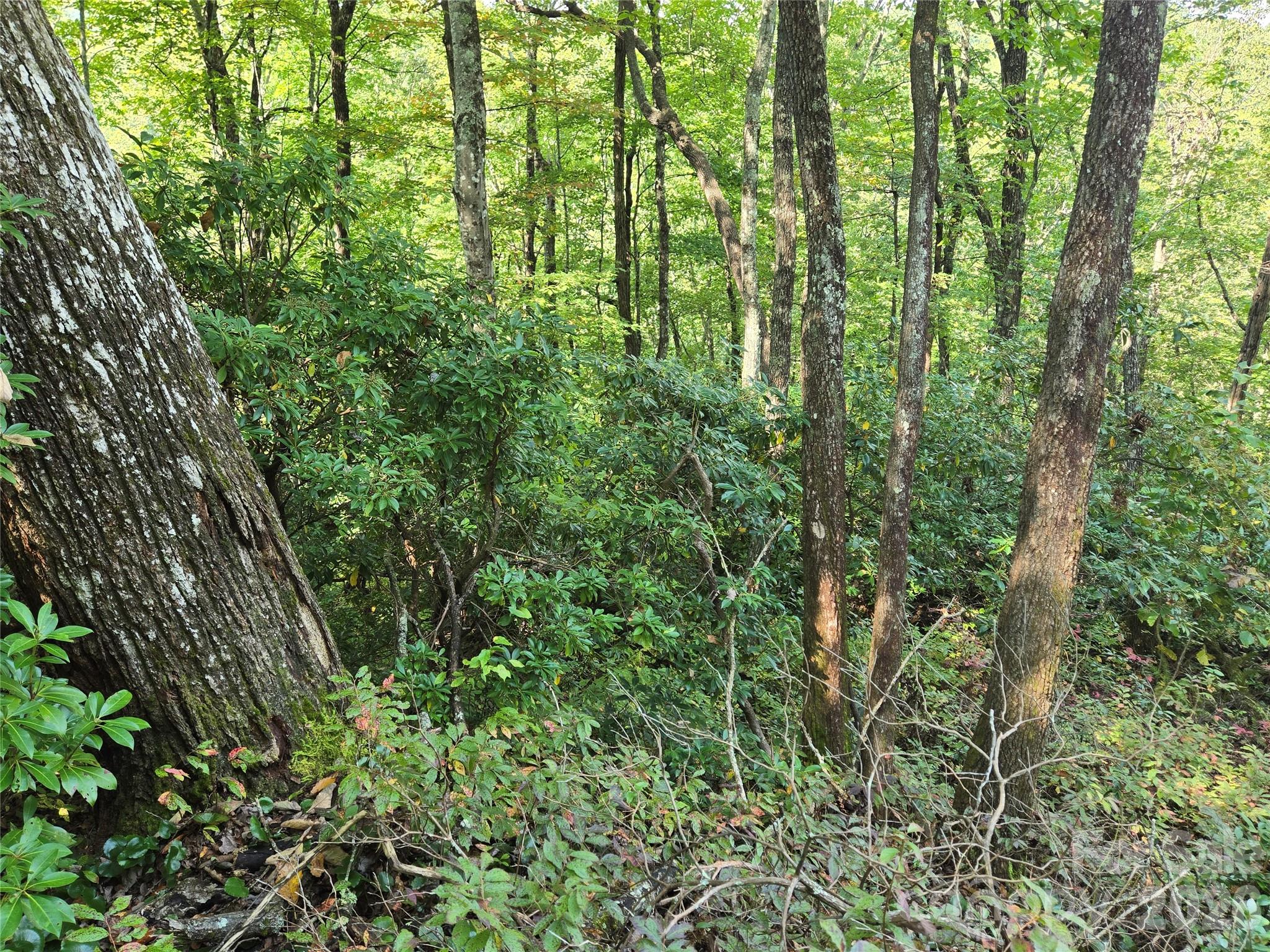 main property photo 25