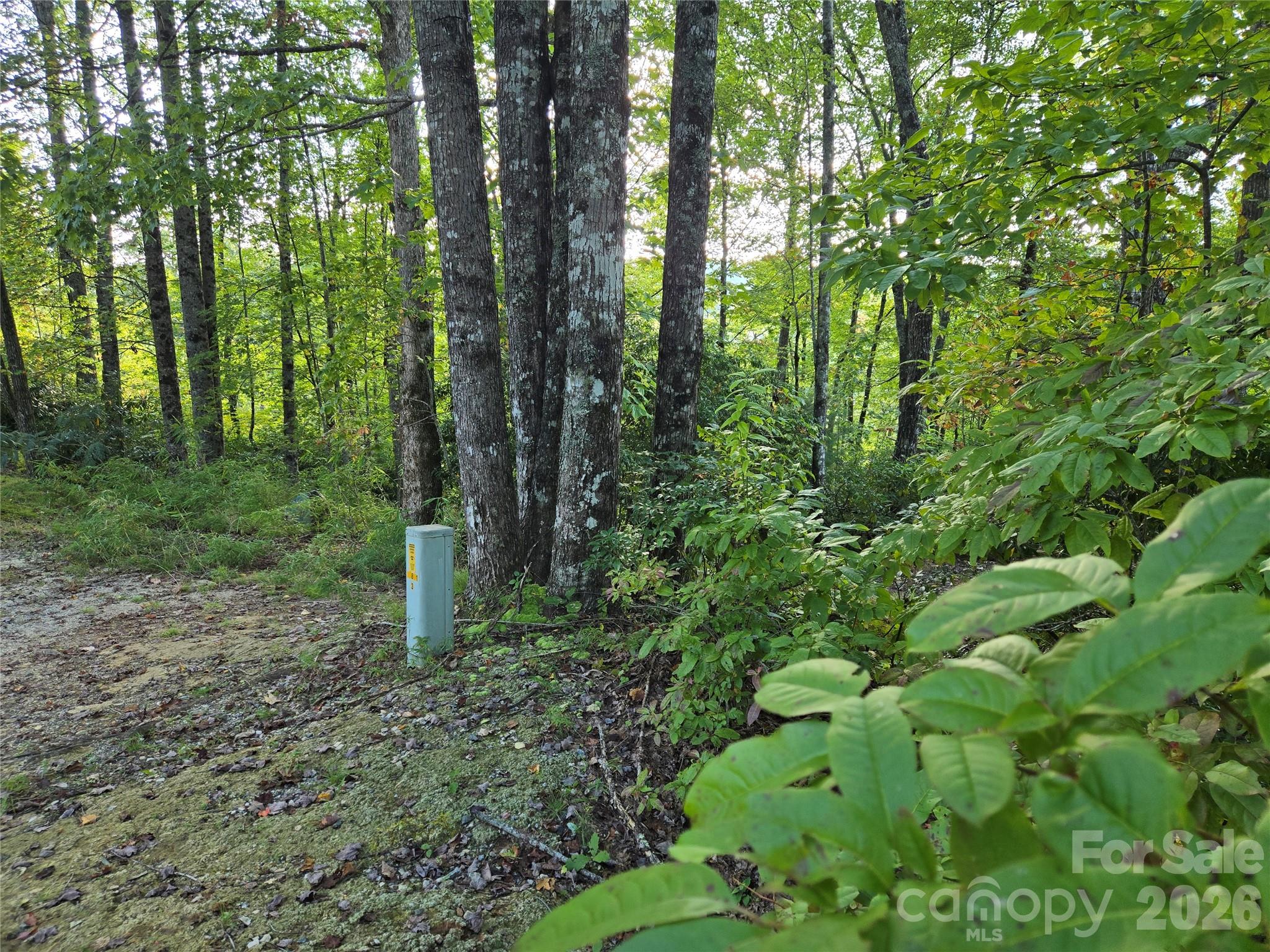 main property photo 5