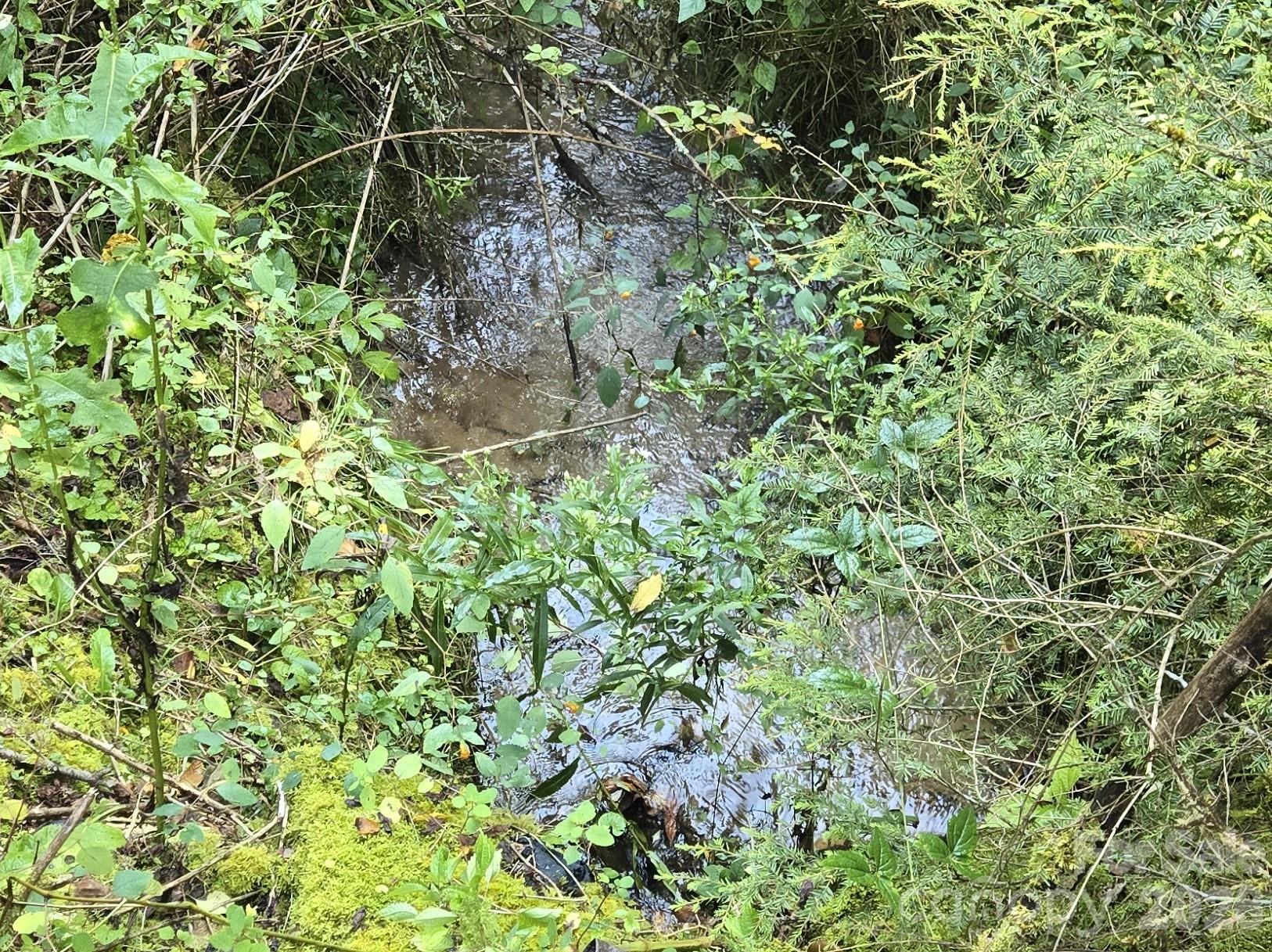 main property photo 8