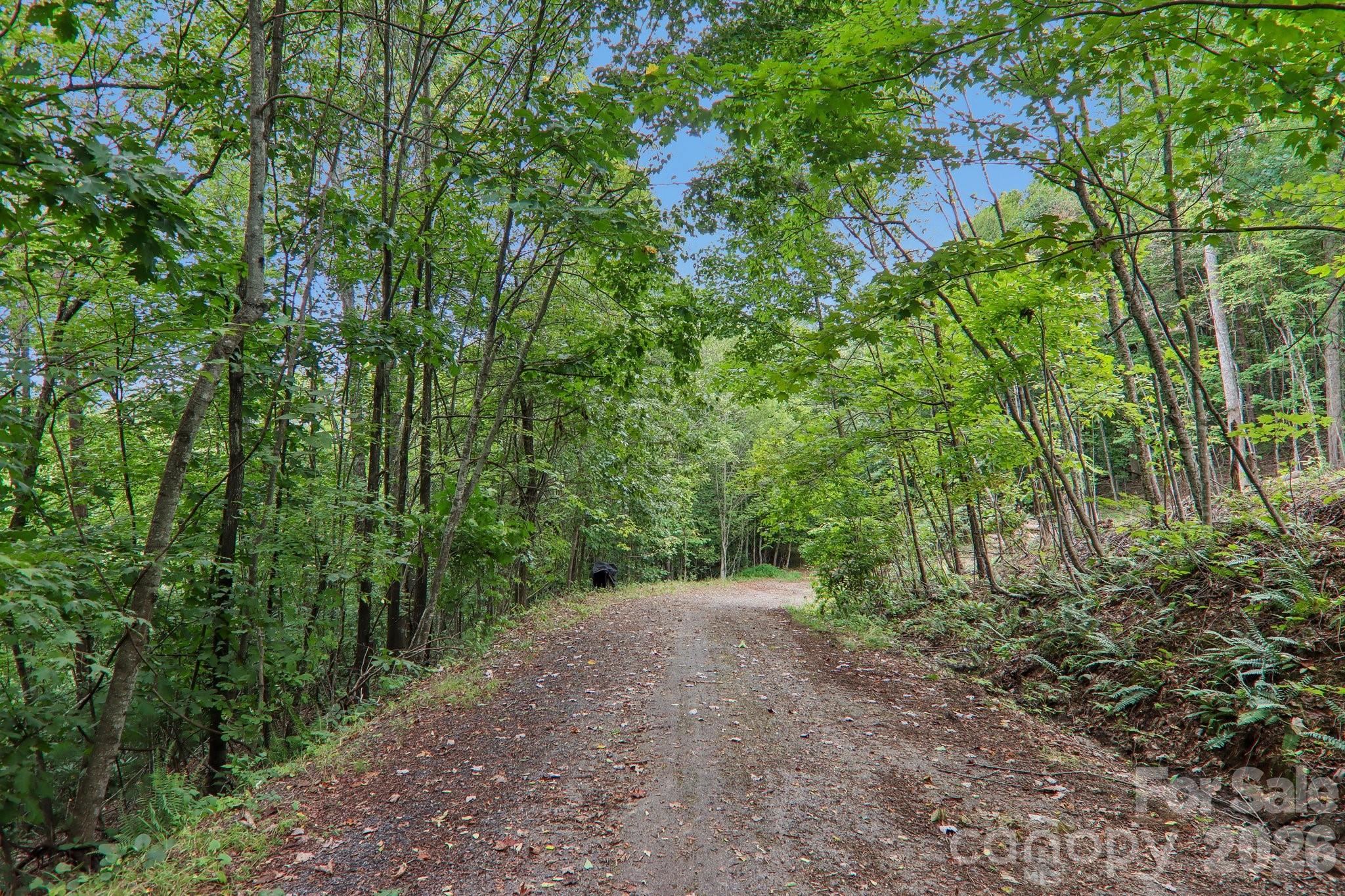 main property photo 44