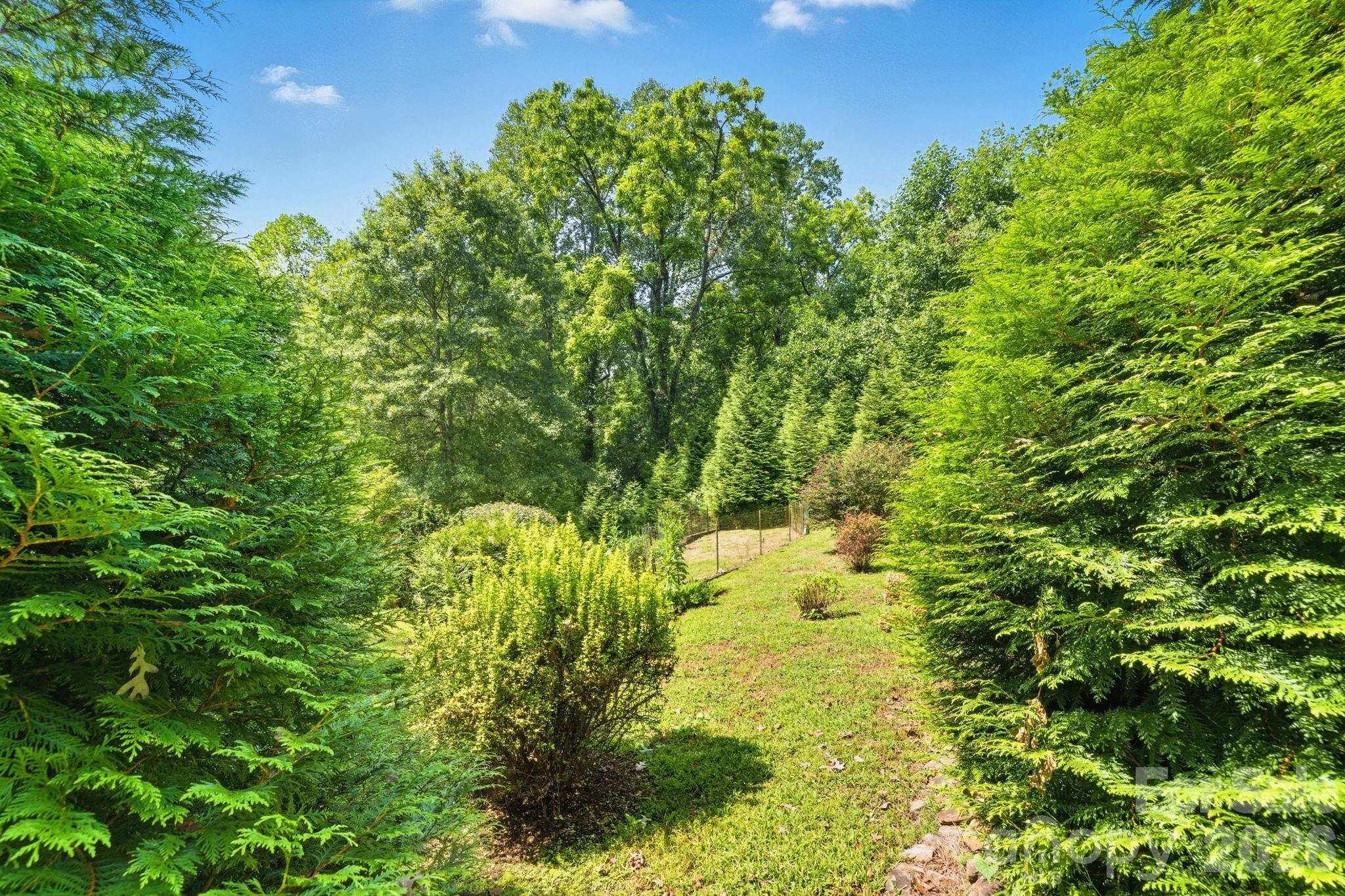 main property photo 39
