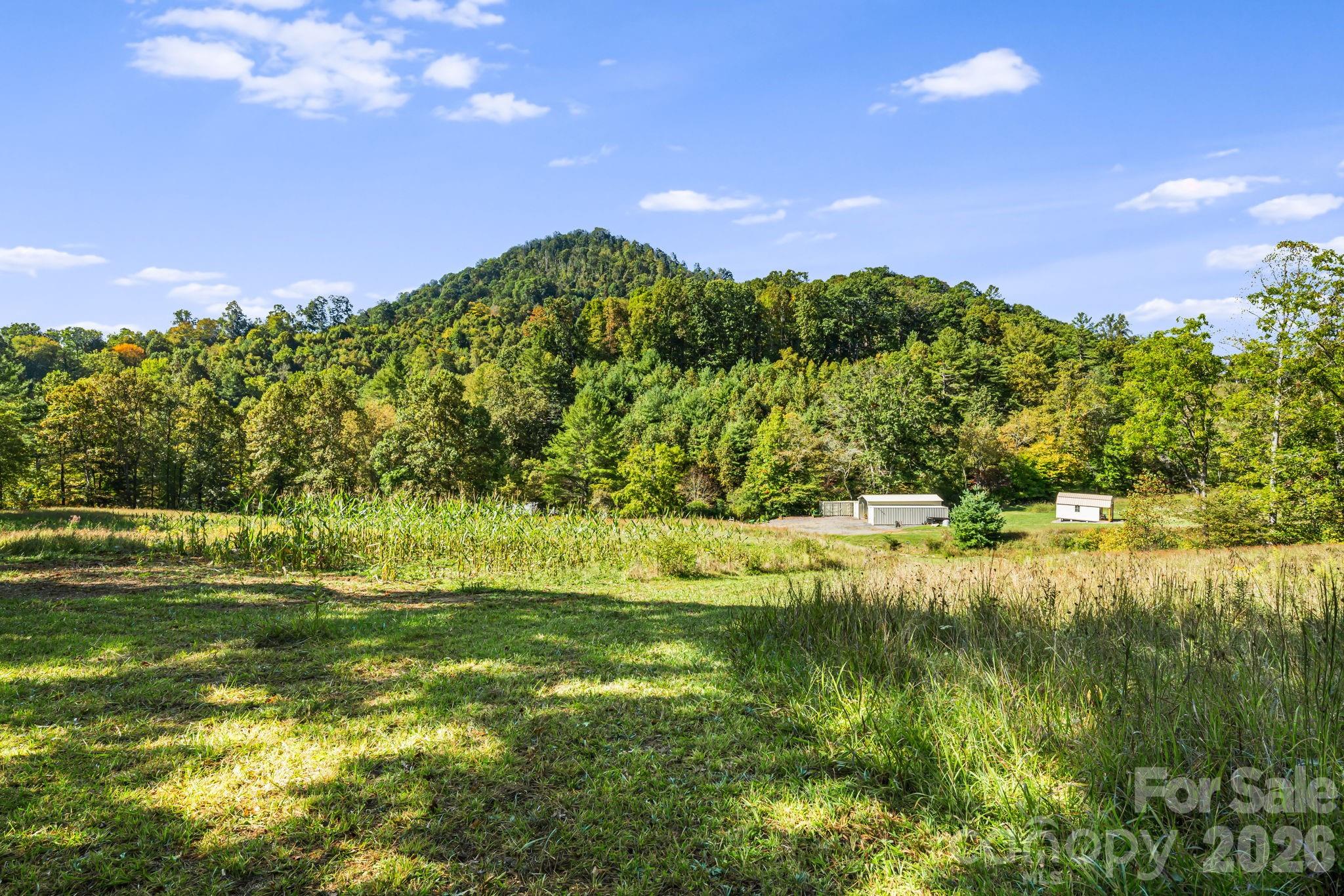 main property photo 34