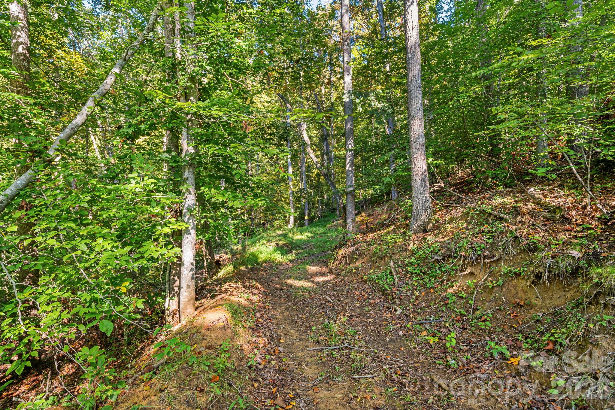 main property photo 37