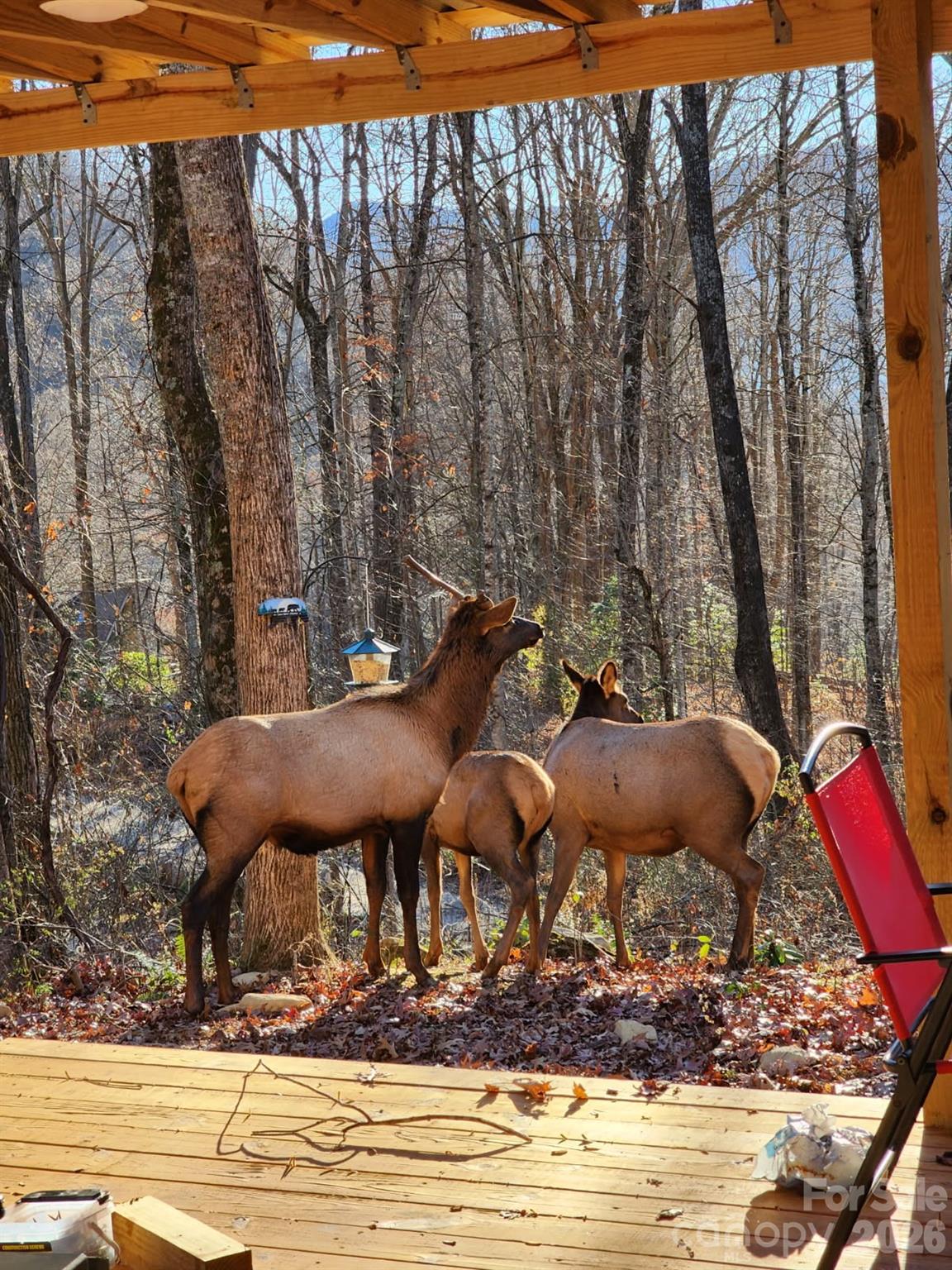 main property photo 16