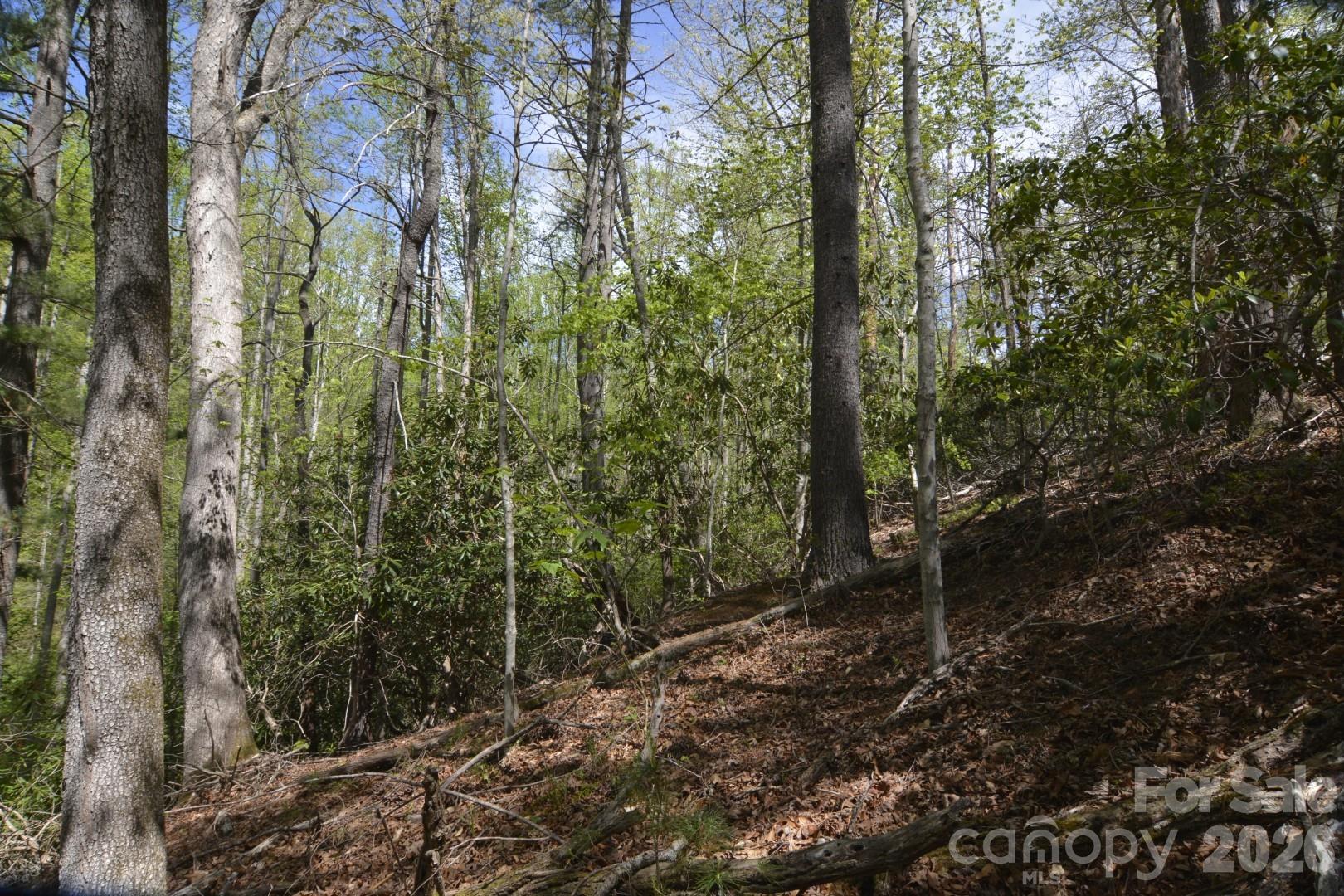 main property photo 17