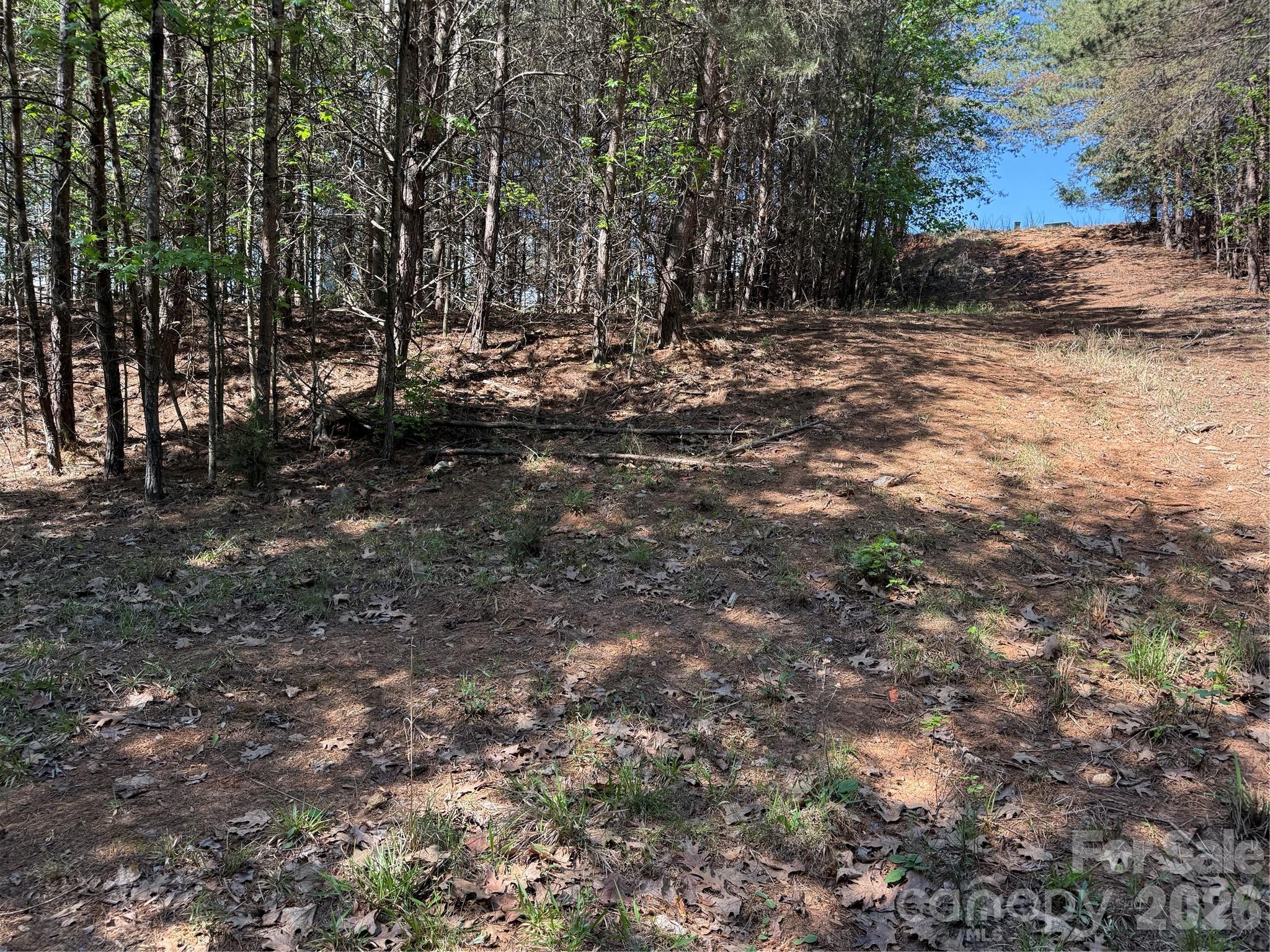 main property photo 38