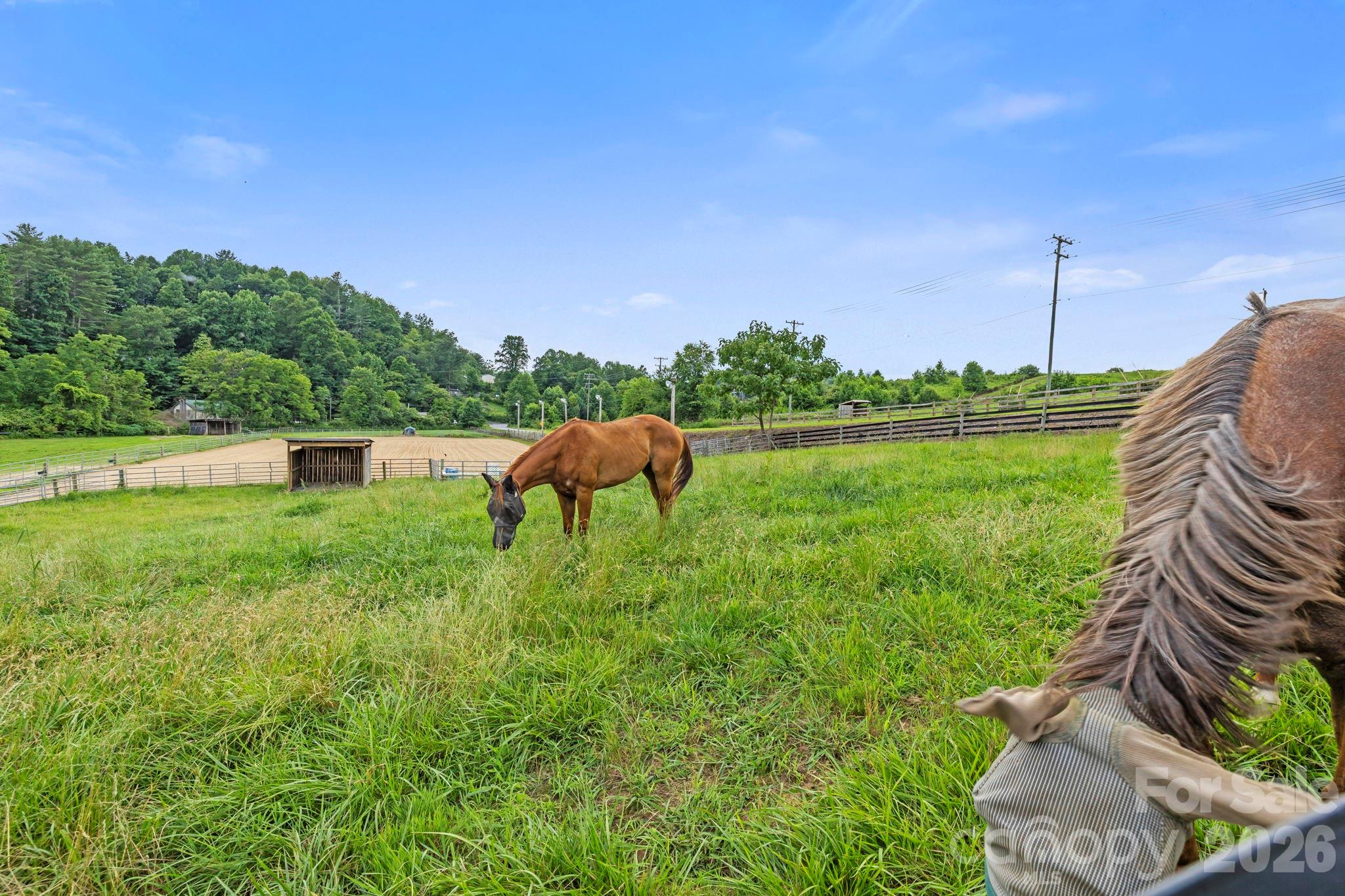 main property photo 44