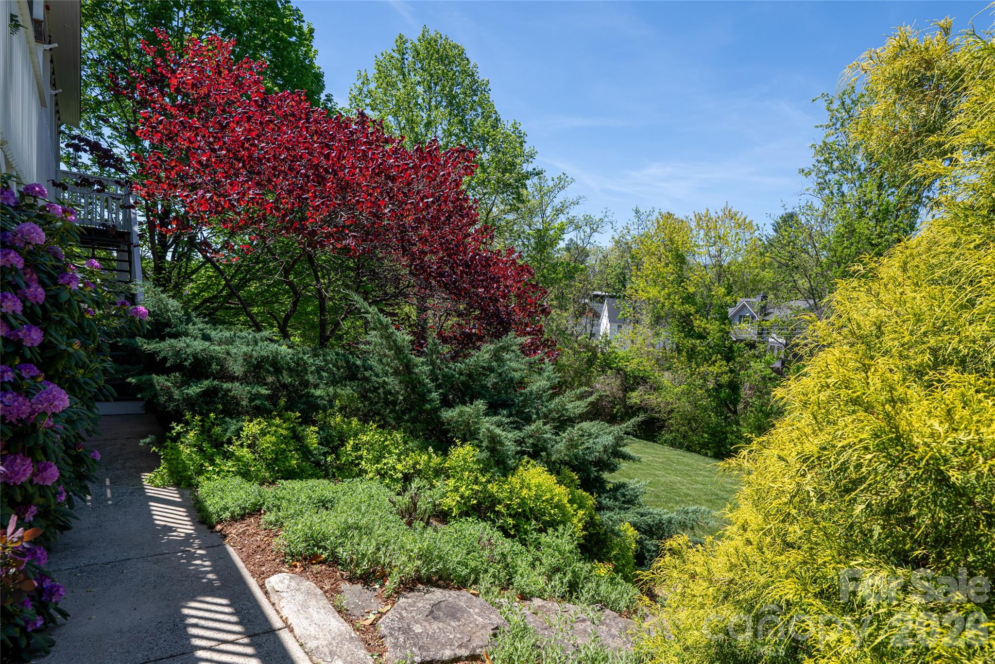 main property photo 44