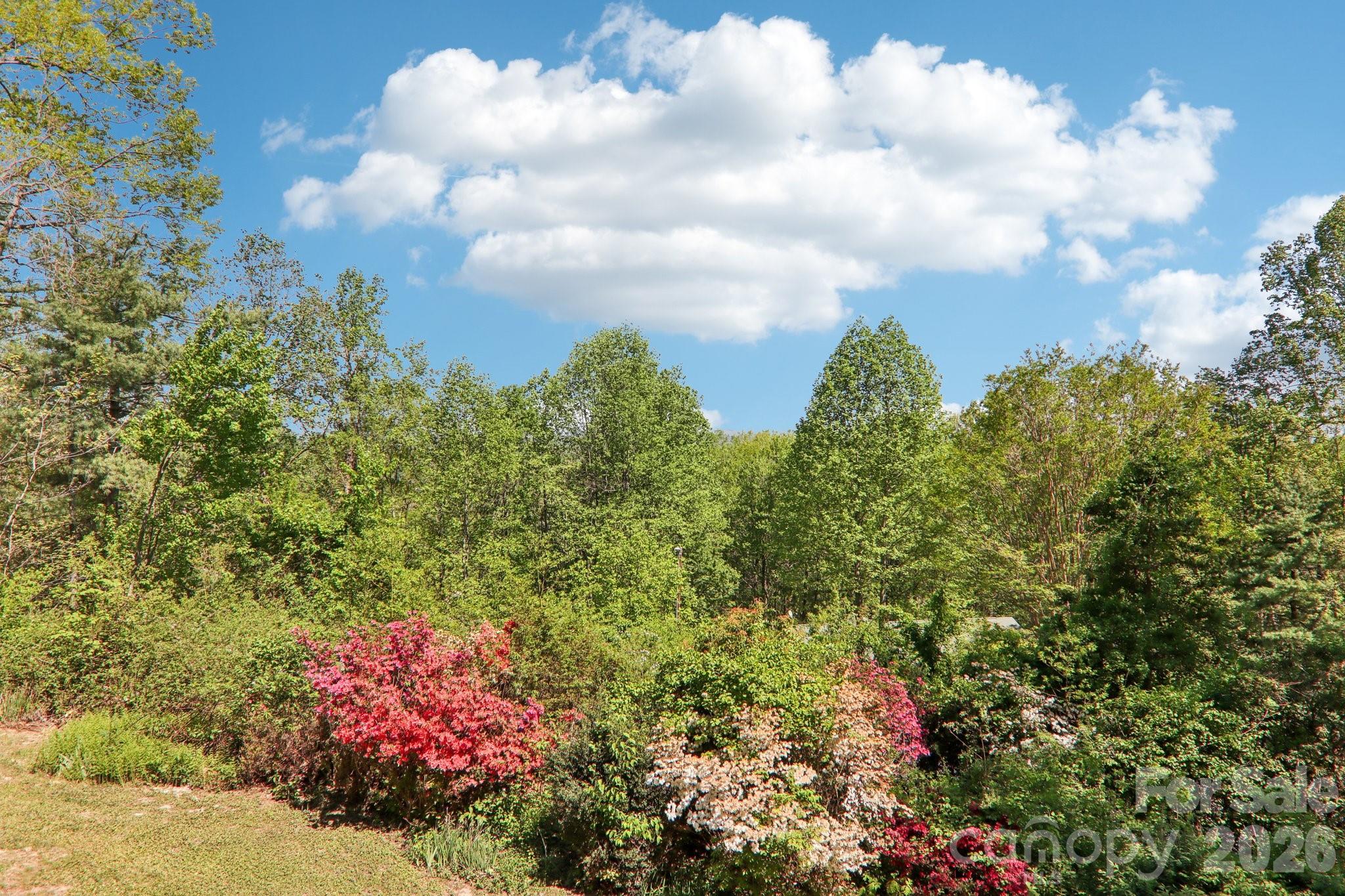 property viewer photo 32