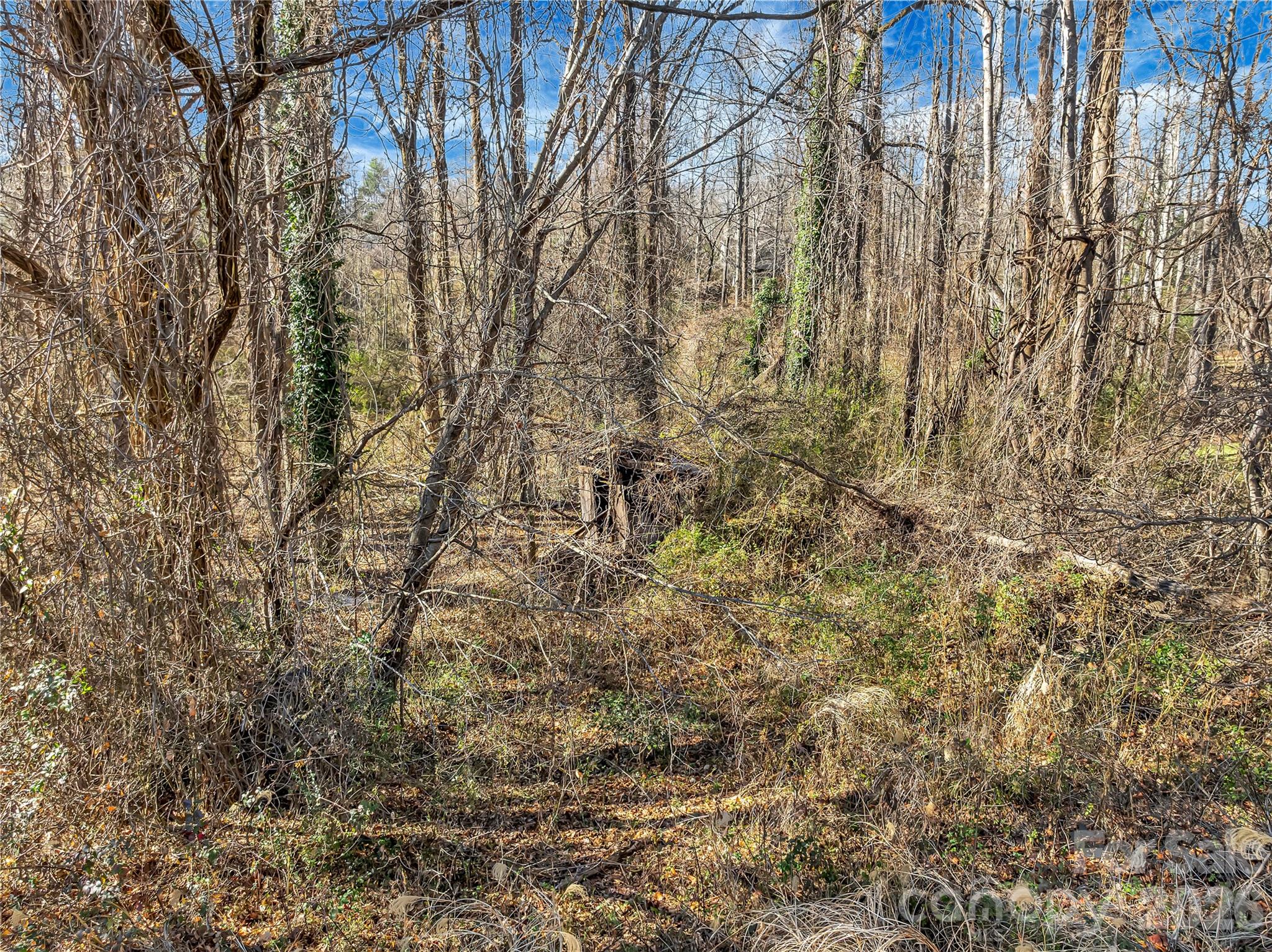 main property photo 13