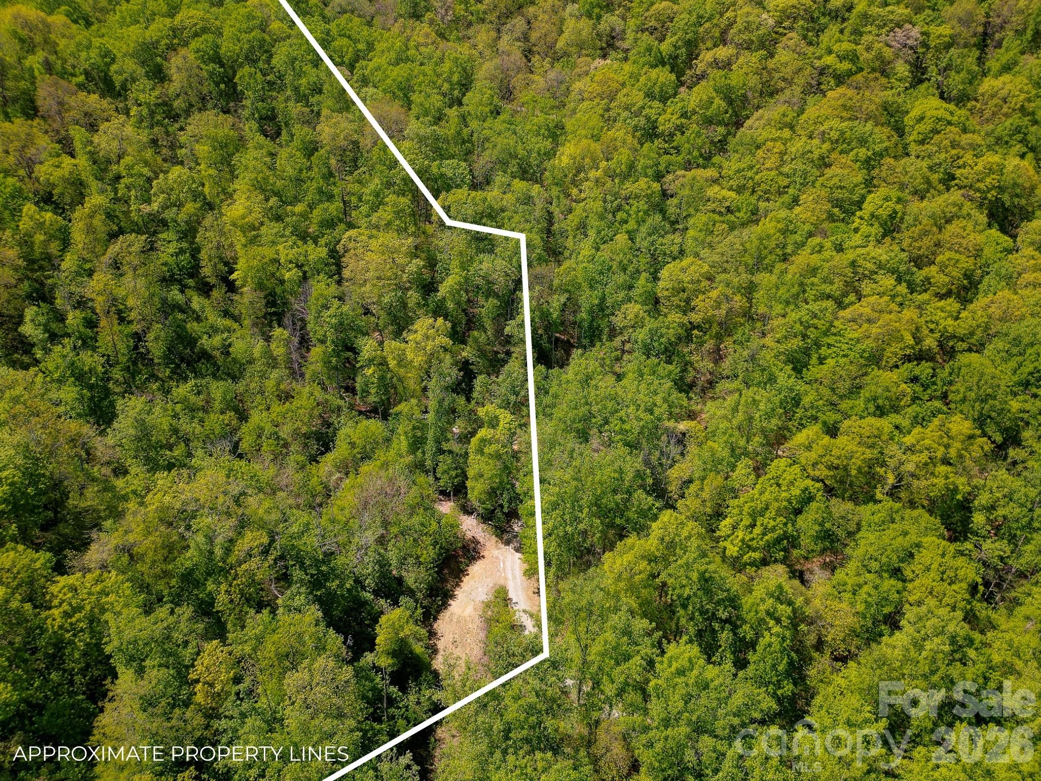 main property photo 11