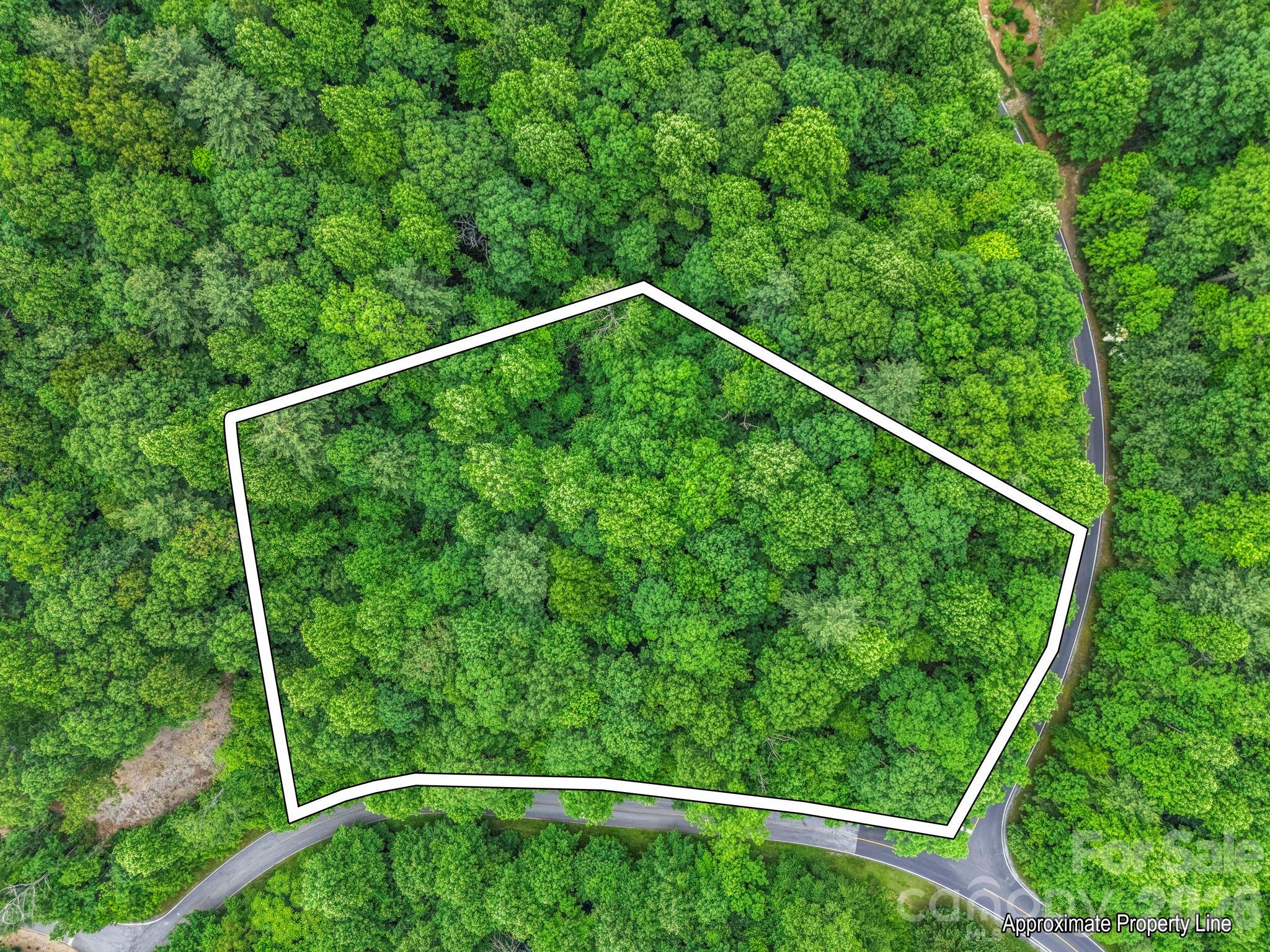 main property photo 14