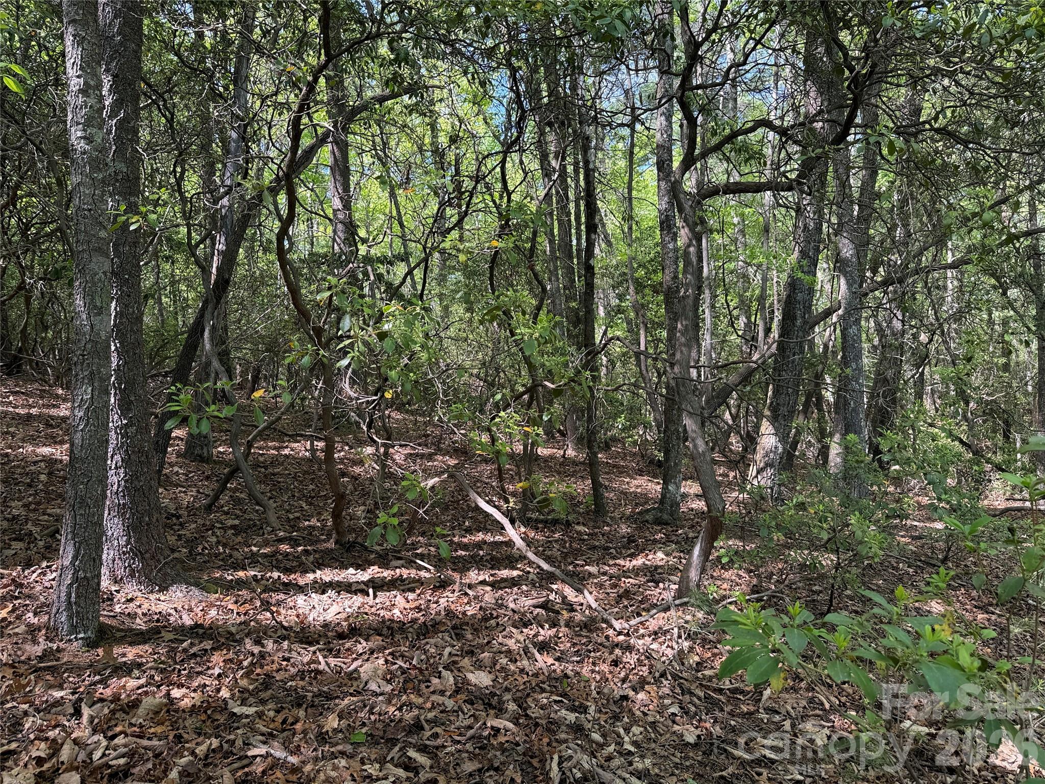 main property photo 11
